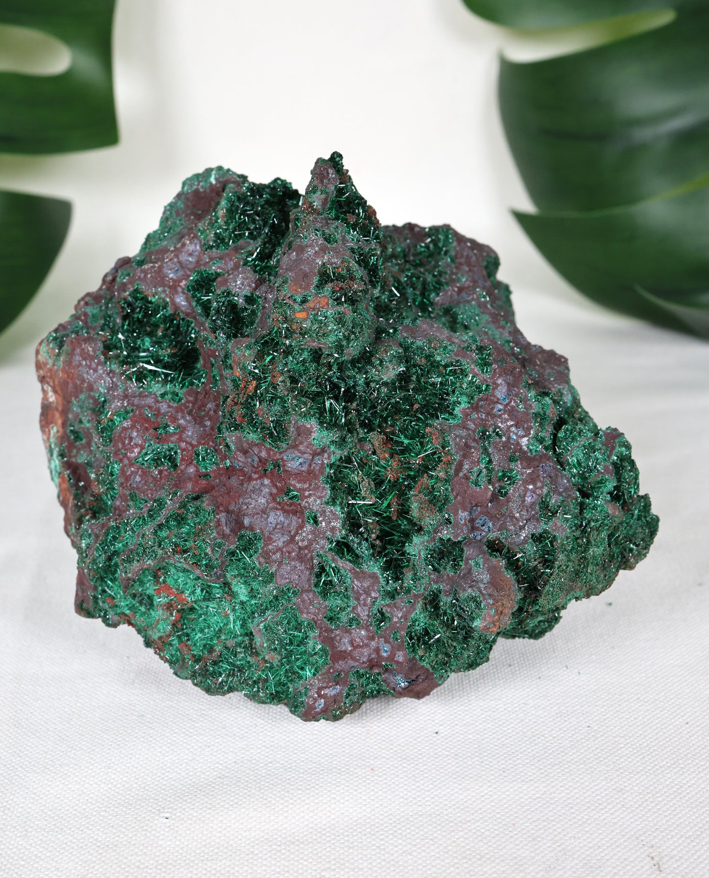 Brochantit x Bornit Nr.295BC