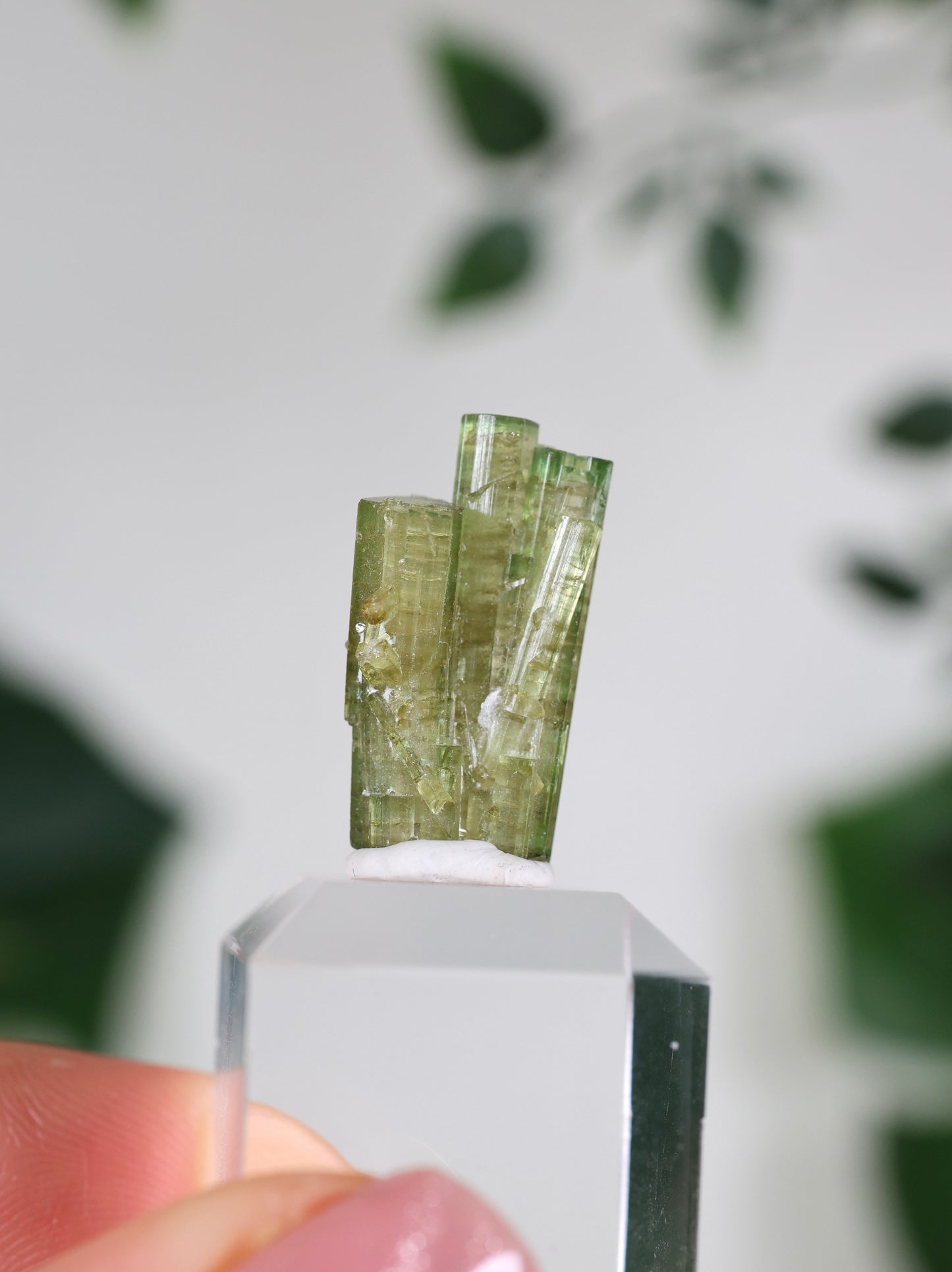 Grüner Turmalin S - Auswahl