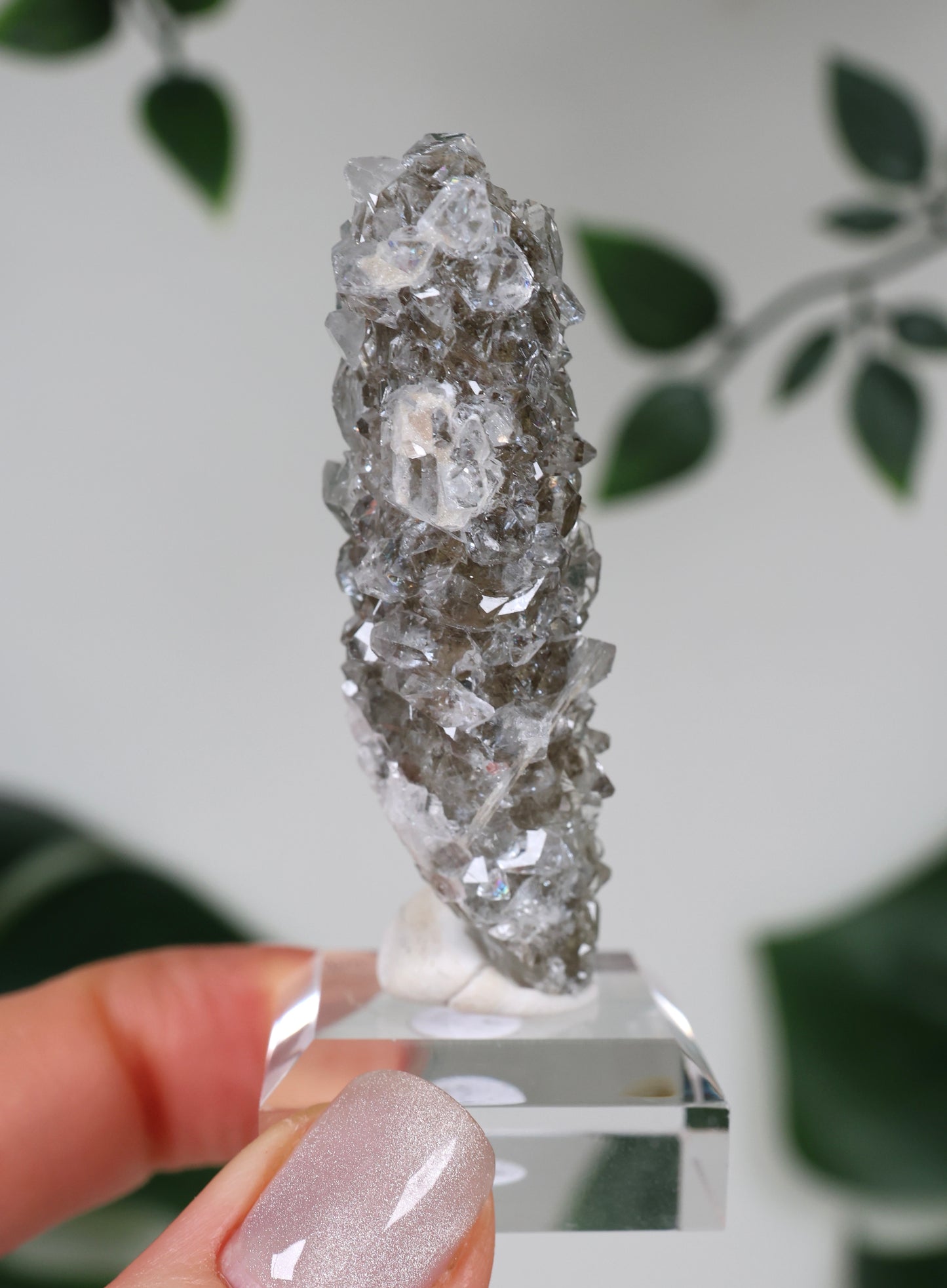 Apophyllit x Quarz x Chlorit Nr.79QA