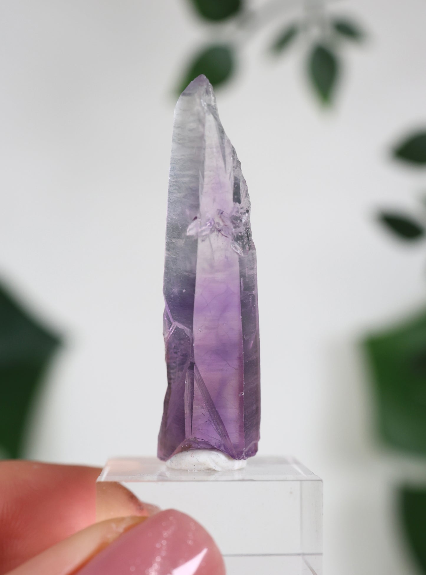 Guerrero Amethyst Oldstock XS - Auswahl