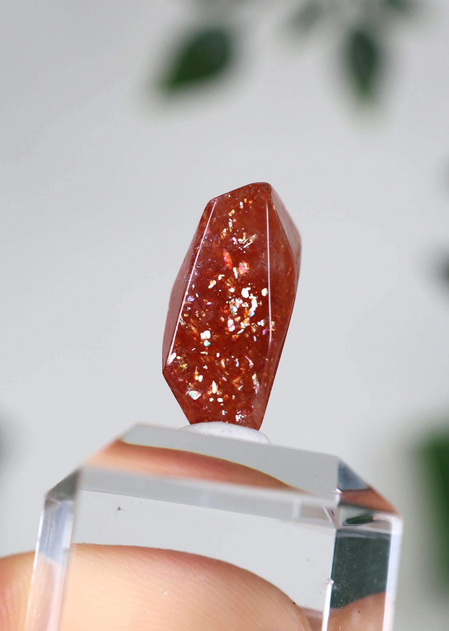 Sonnenstein in Quarz Nr.32ST