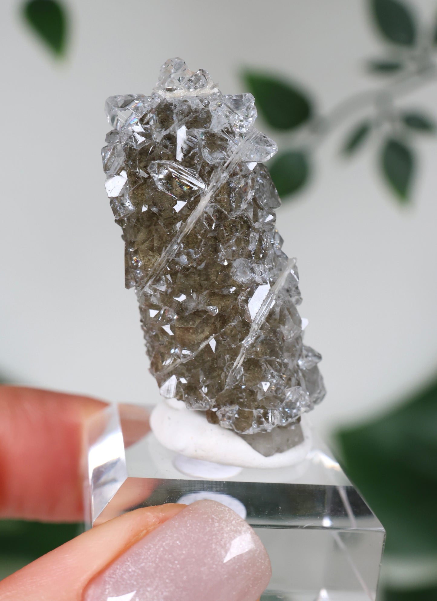 Apophyllit x Quarz x Chlorit Nr.70QP