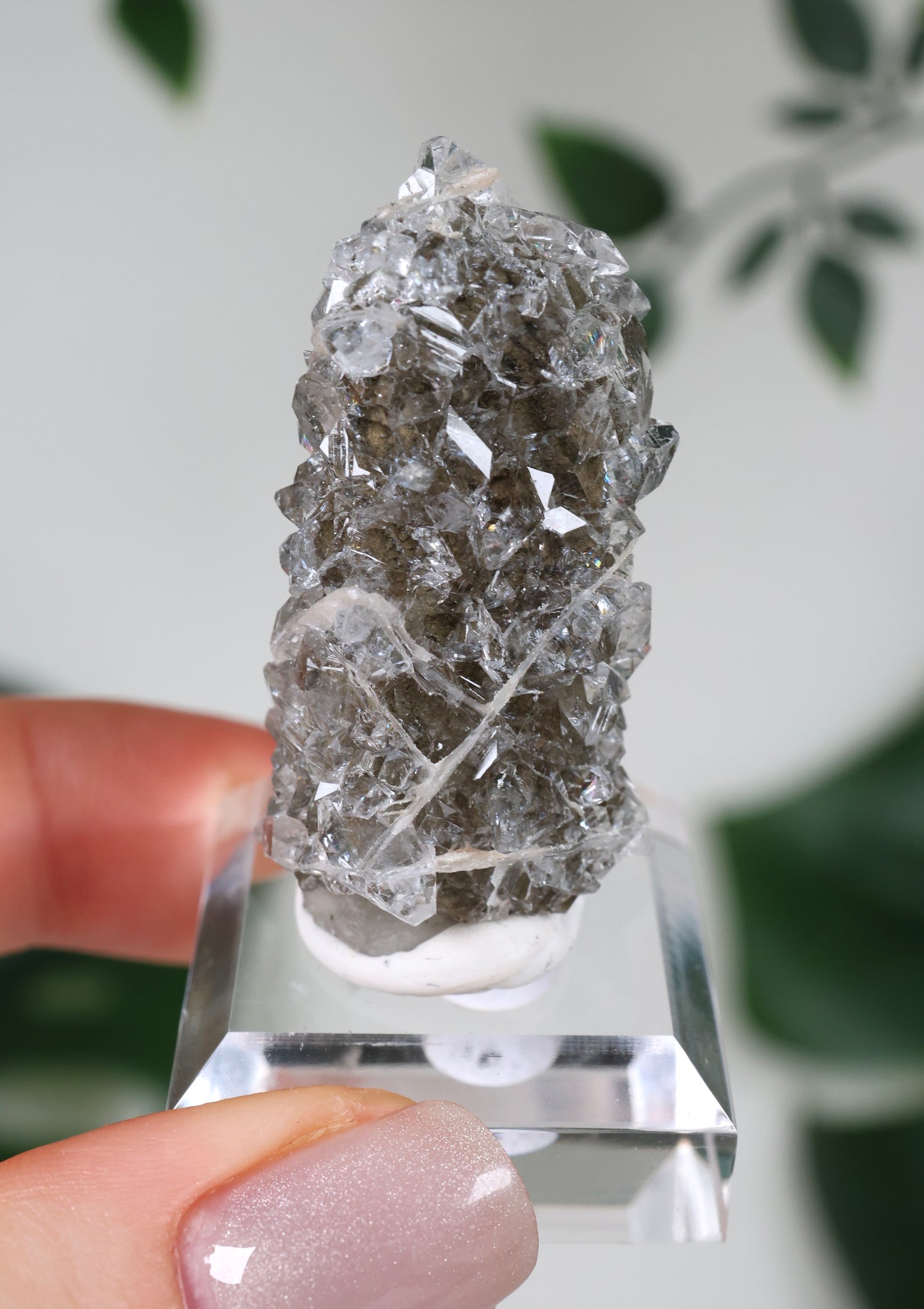 Apophyllit x Quarz x Chlorit Nr.70QP