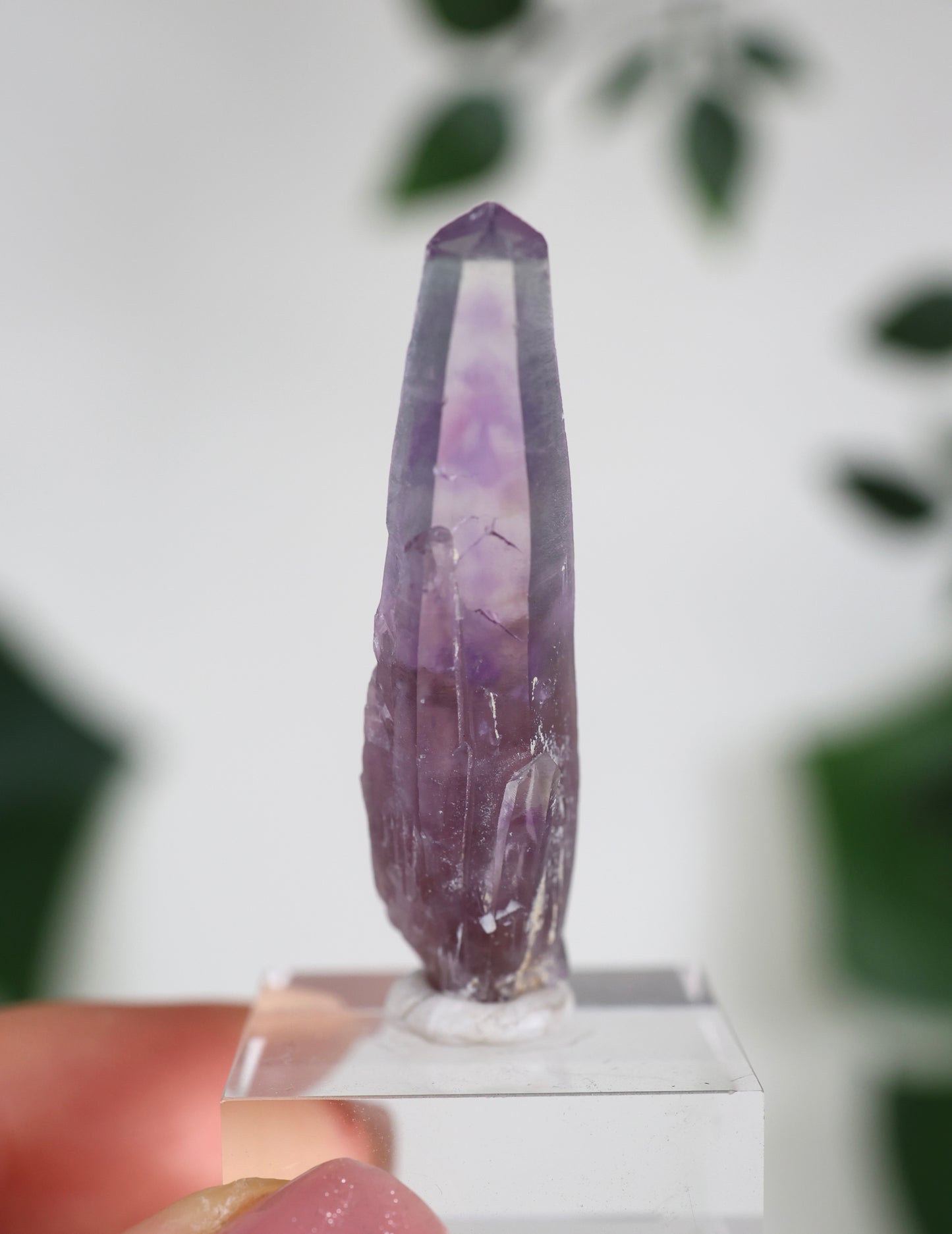Guerrero Amethyst Oldstock XS - Auswahl