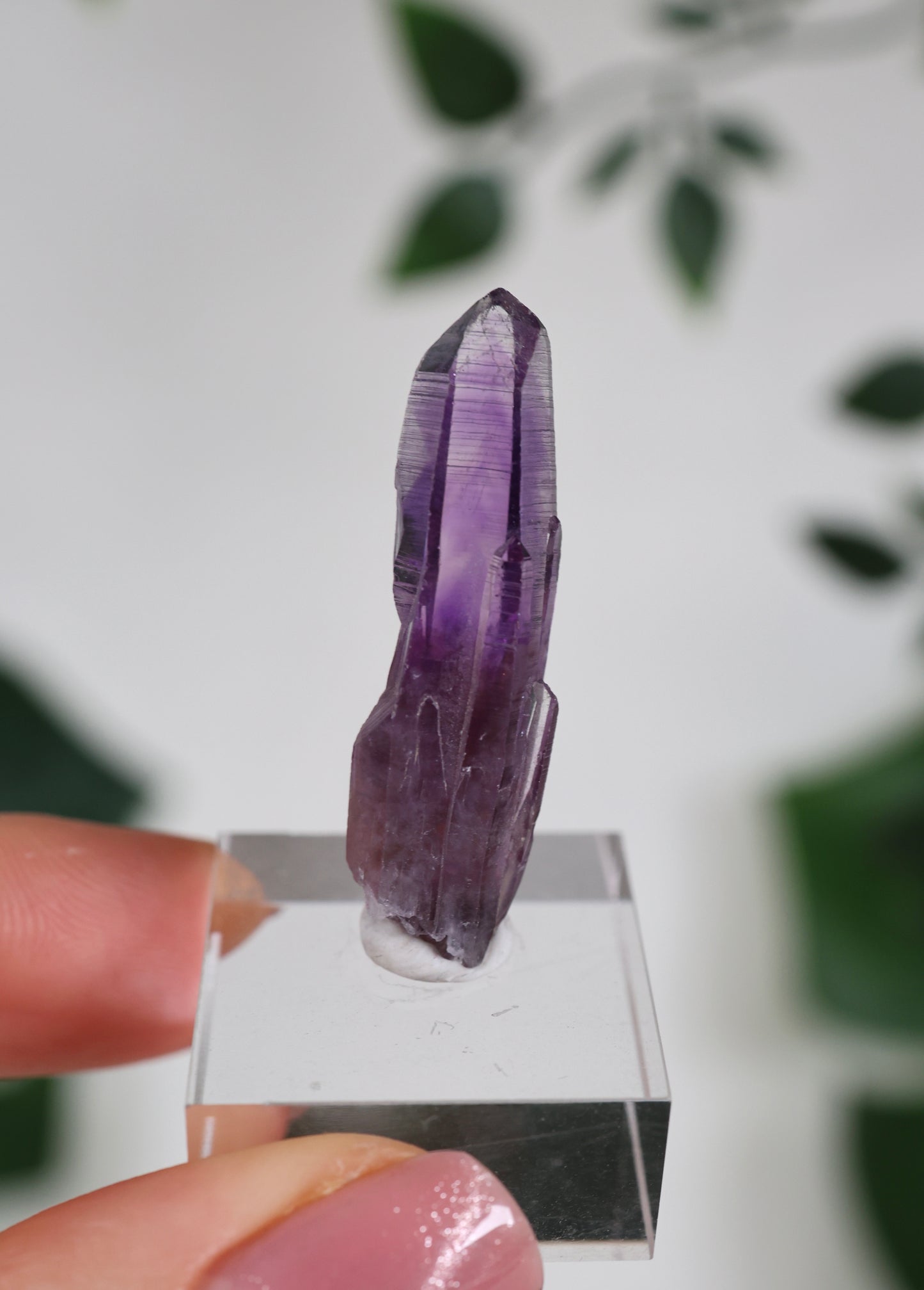 Guerrero Amethyst Nr.37GA