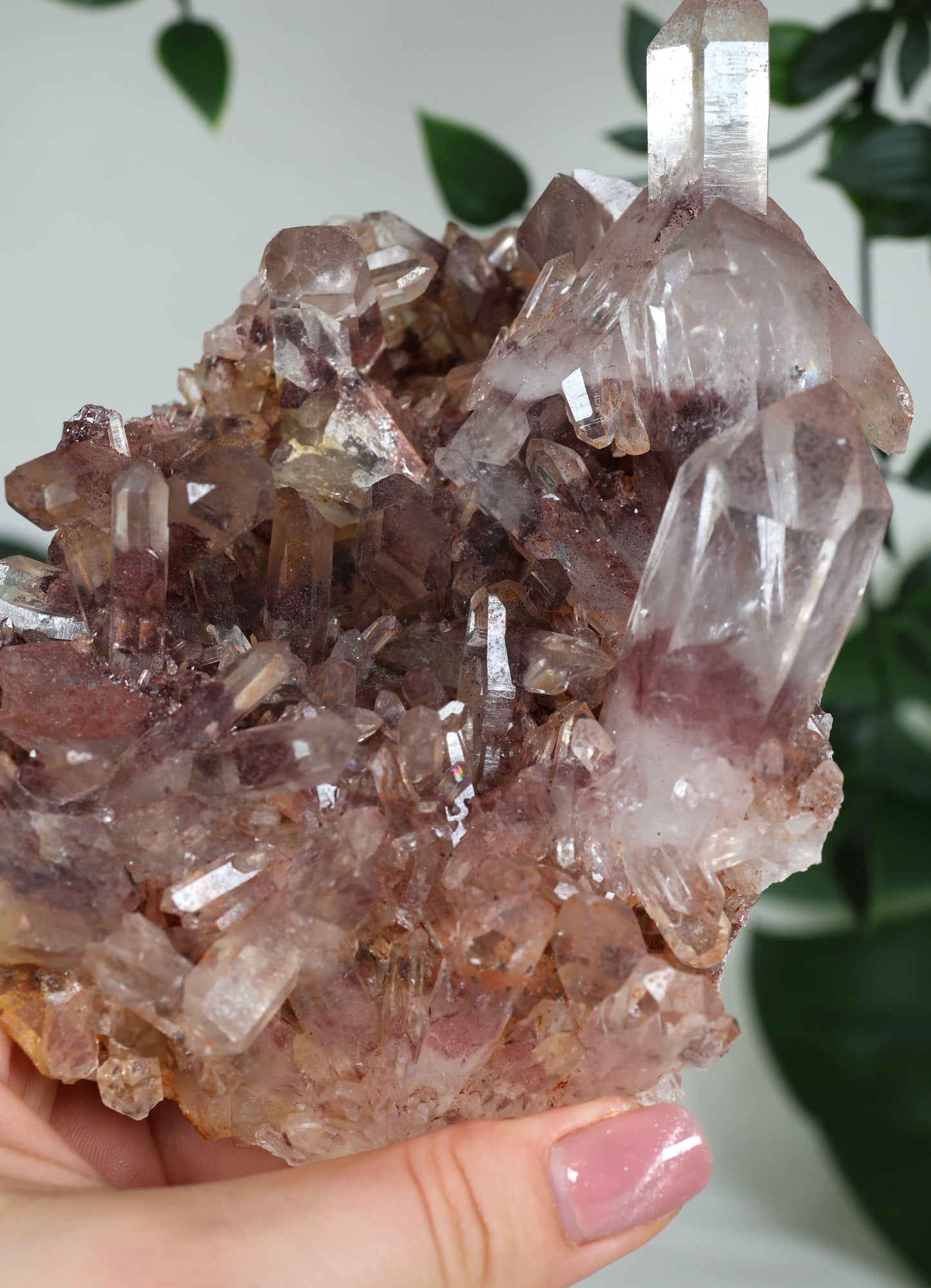 Sunset Quarz Nr.304SQ