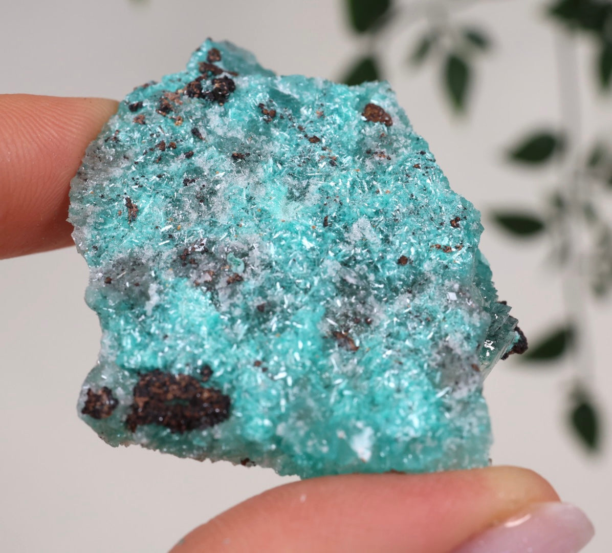 Aurichalcite Nr.29AR