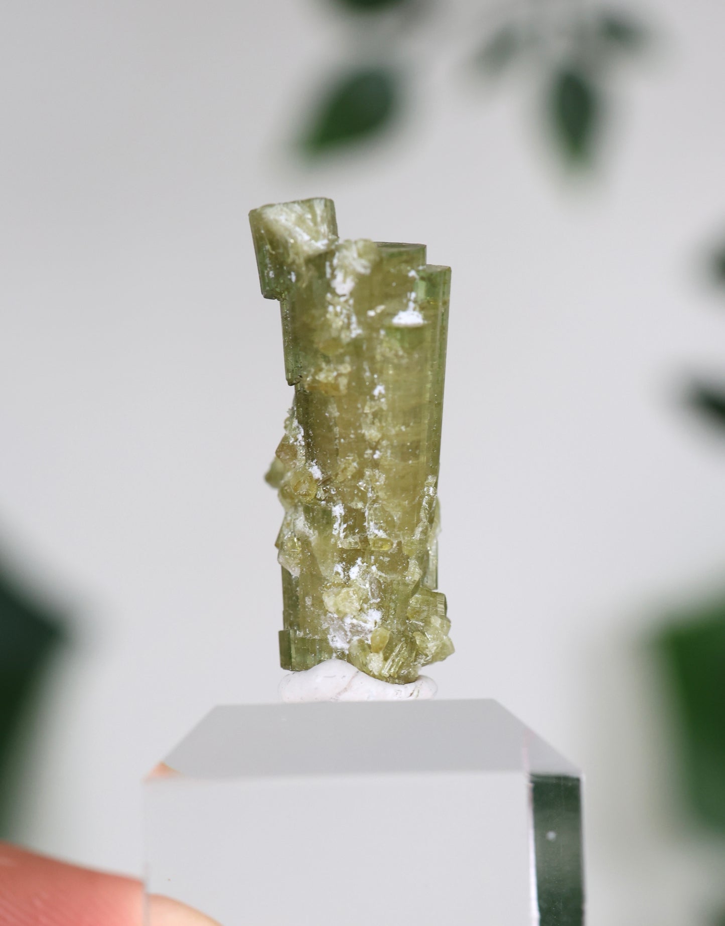 Grüner Turmalin S - Auswahl