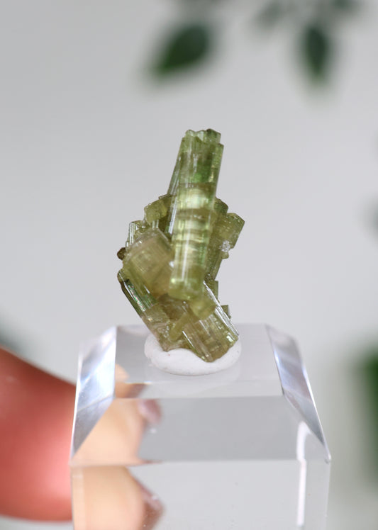 Grüner Turmalin XS - Auswahl