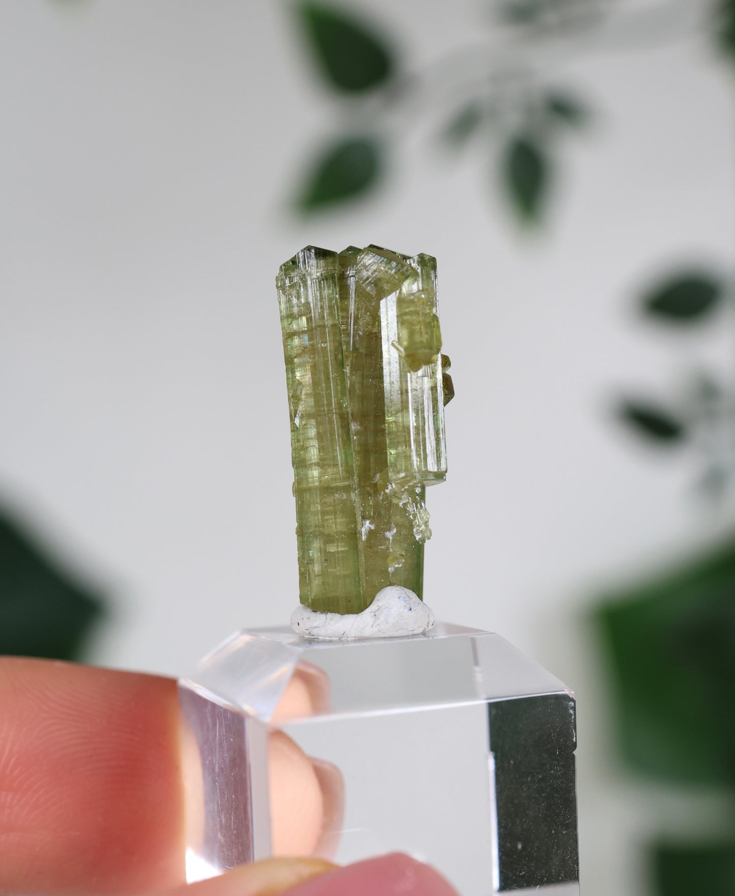 Grüner Turmalin S - Auswahl