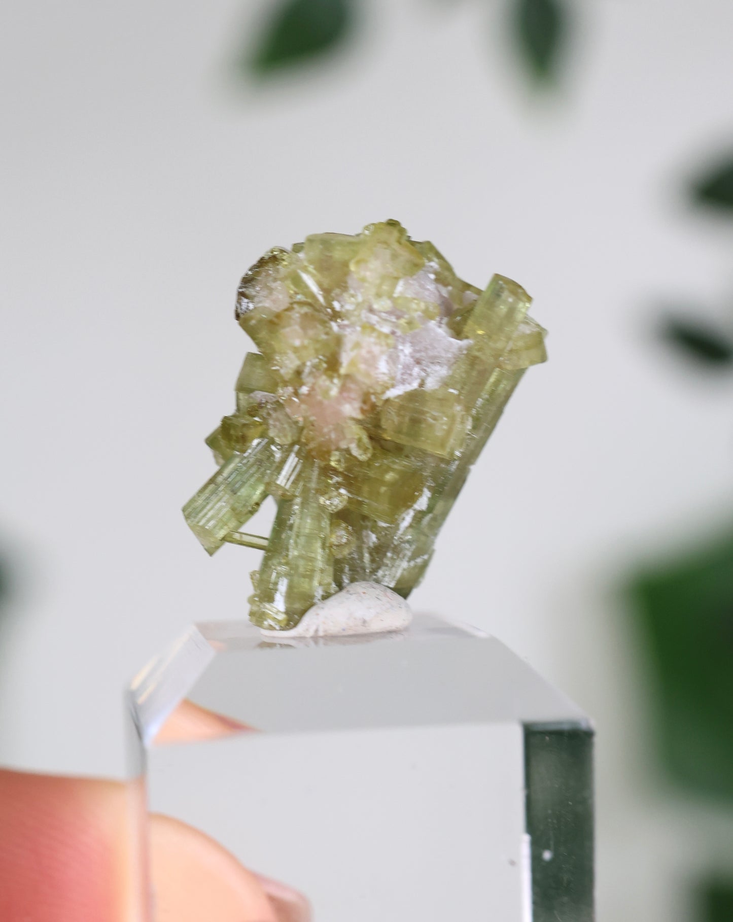 Grüner Turmalin Nr.33GT