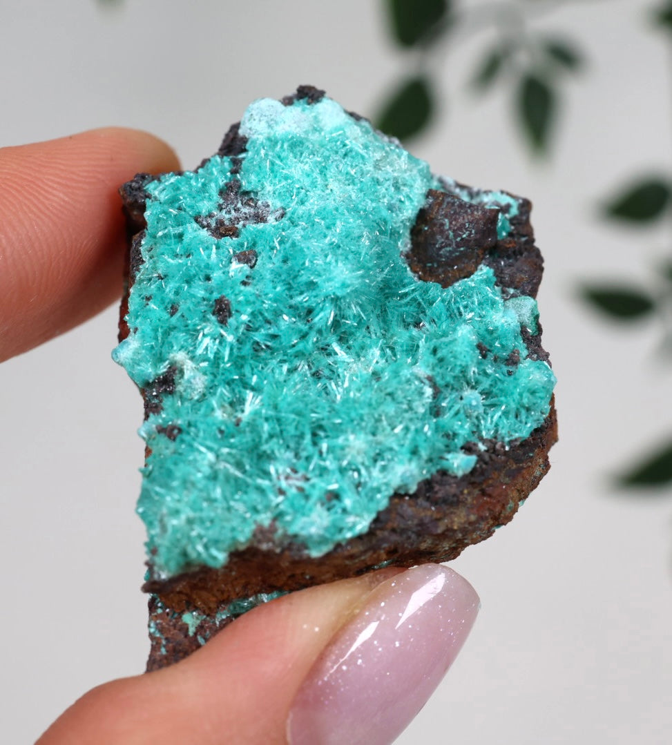 Aurichalcite Nr.38AU