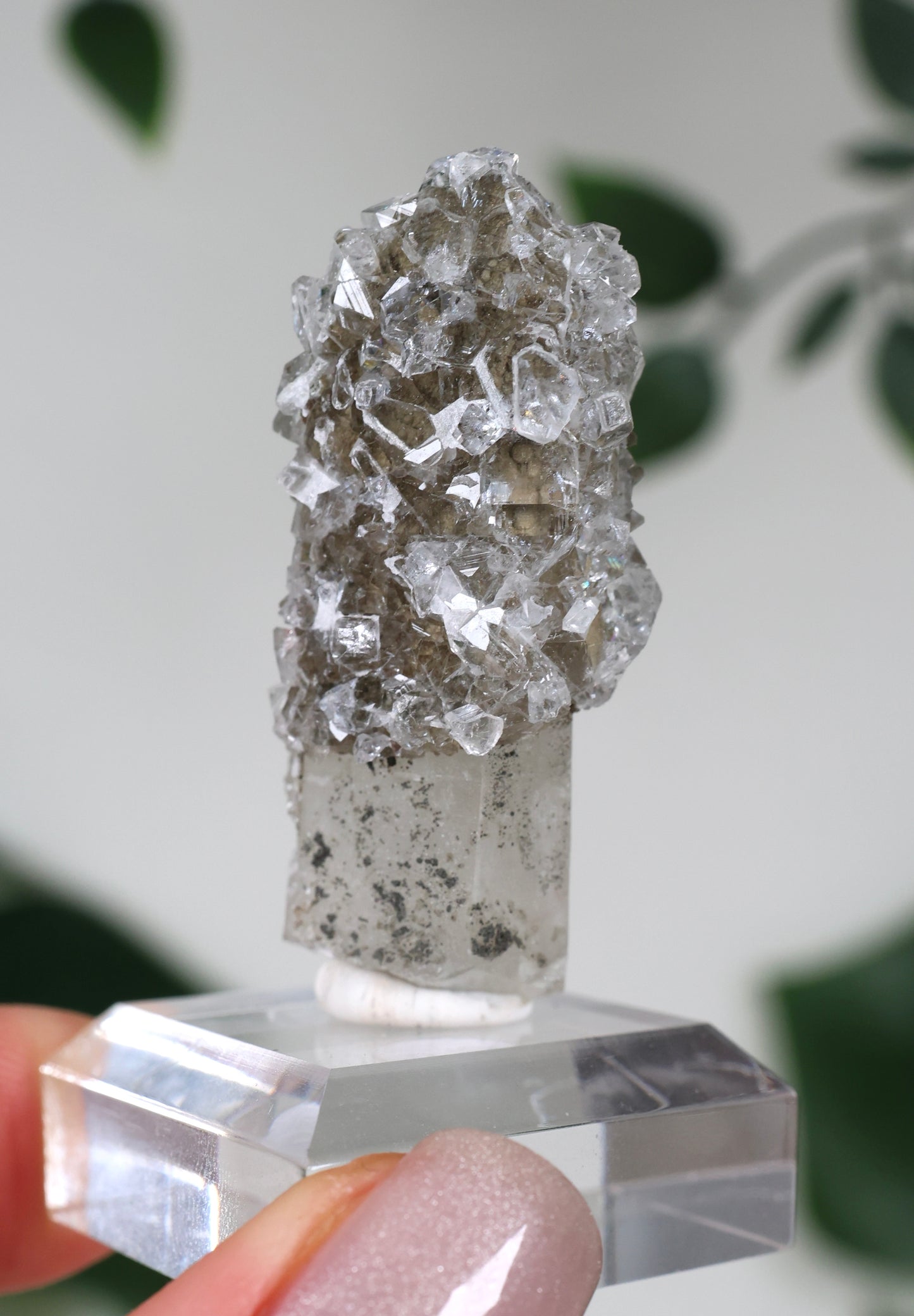 Apophyllit x Quarz x Chlorit Nr.67QA