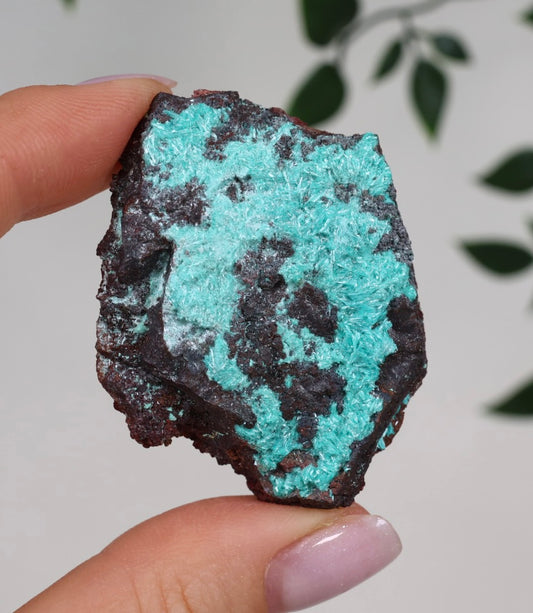 Aurichalcite Nr.30AR