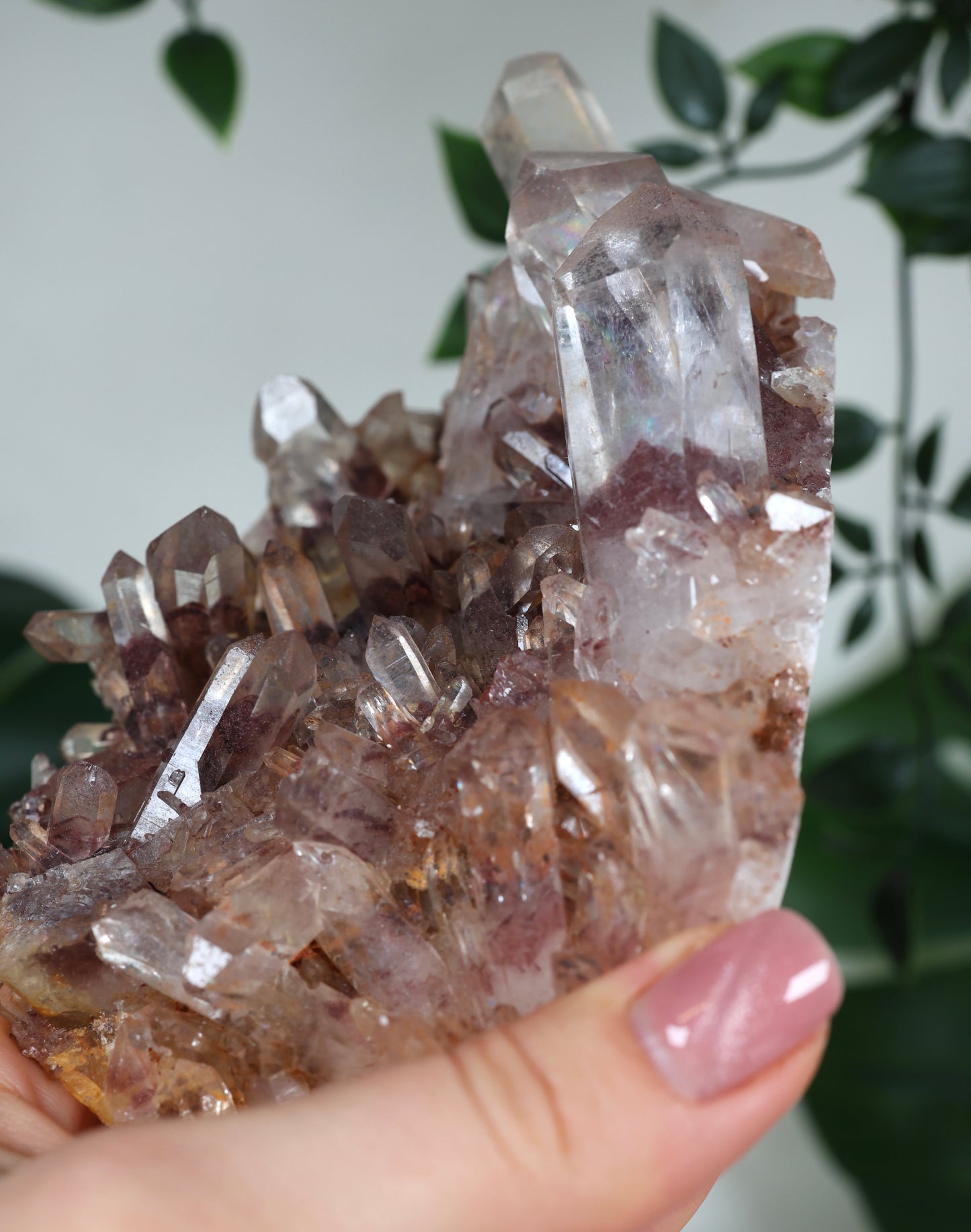 Sunset Quarz Nr.304SQ