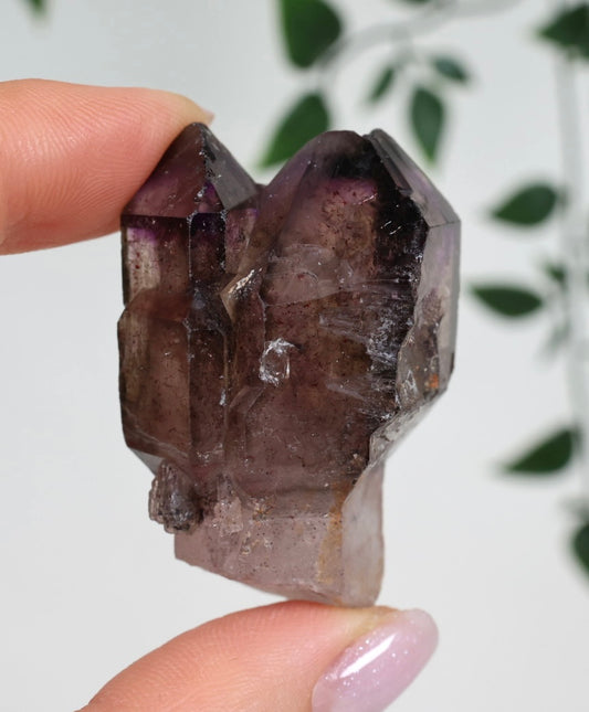 Shangaan Amethyst x Rauchquarz x Hämatit Nr.34SA