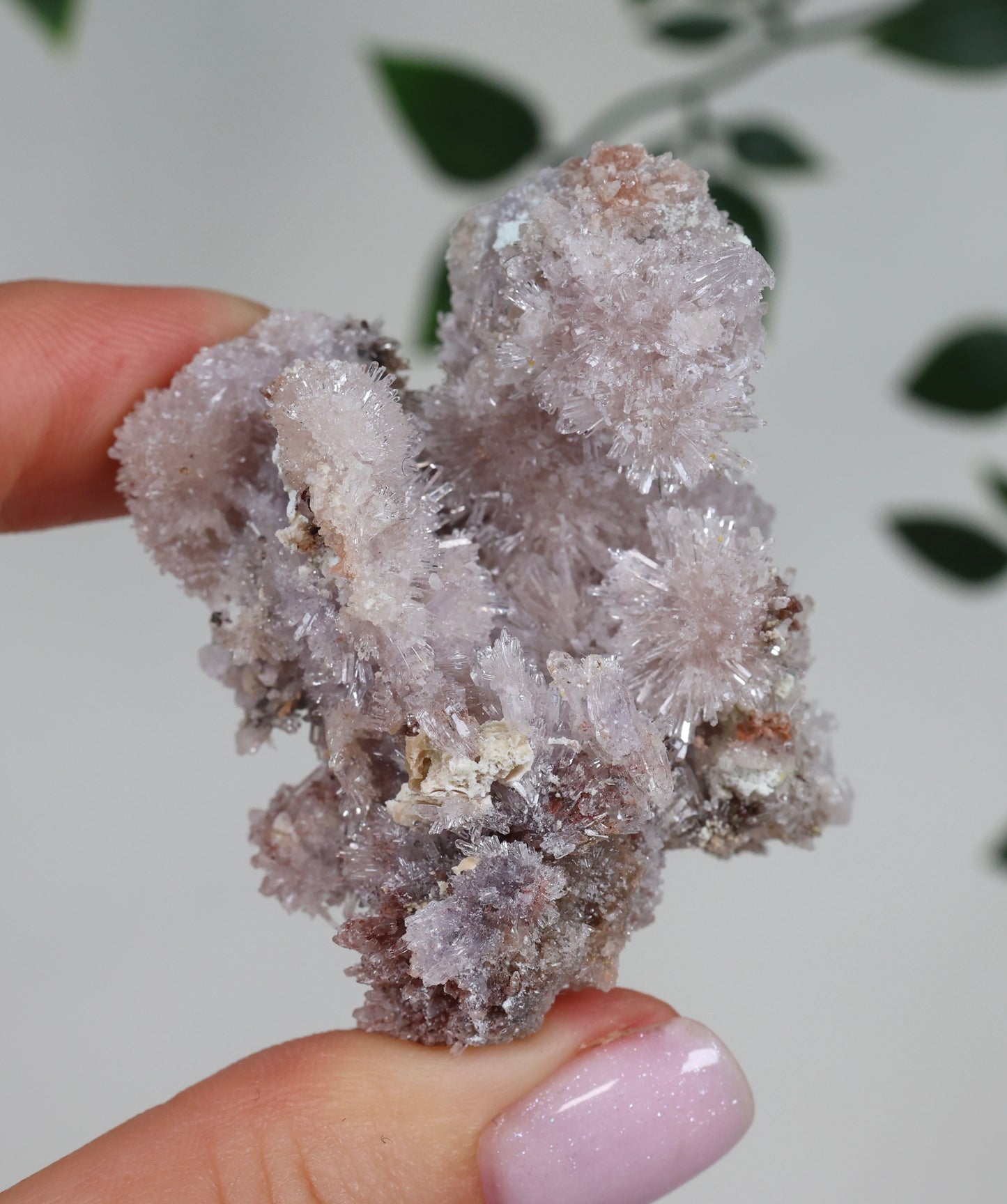Lilaner Creedite Nr.119LC