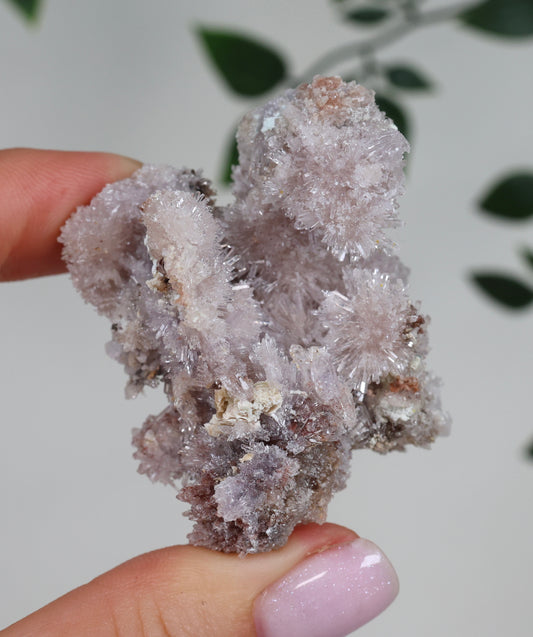 Lilaner Creedite Nr.119LC