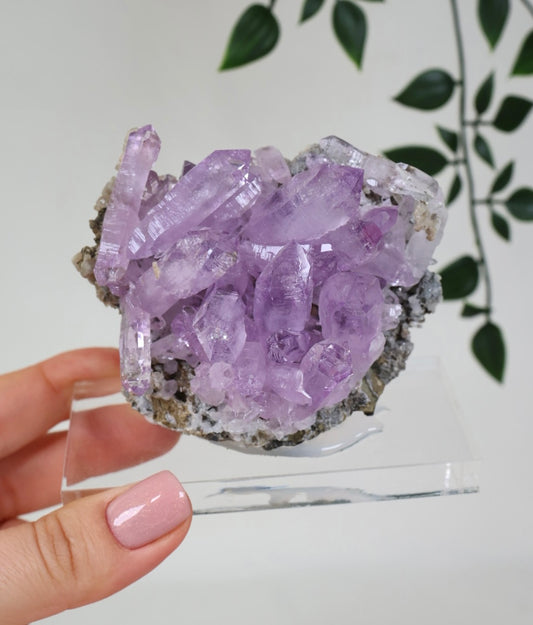 Vera Cruz Amethyst Nr.515VA