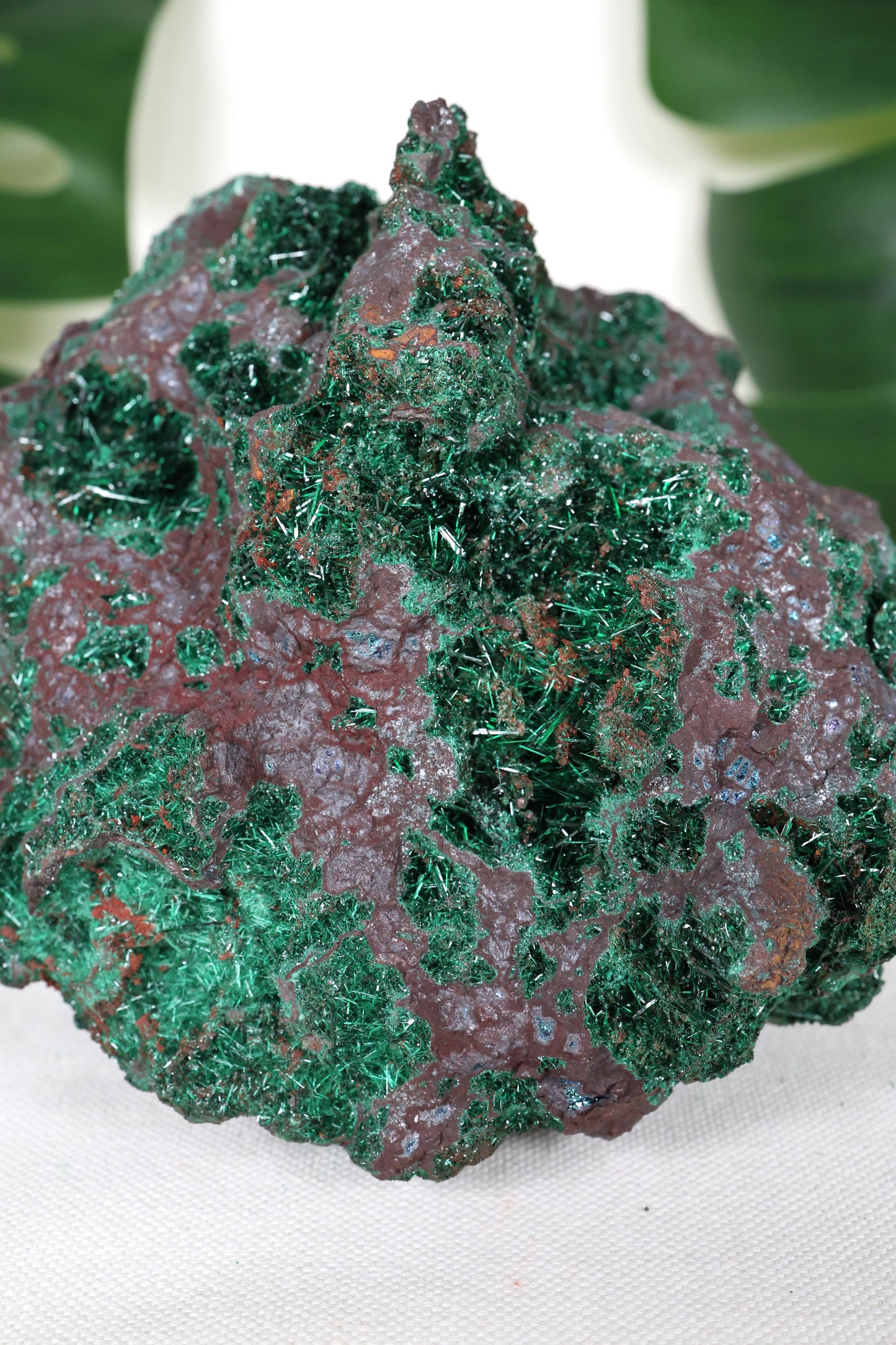 Brochantit x Bornit Nr.295BC