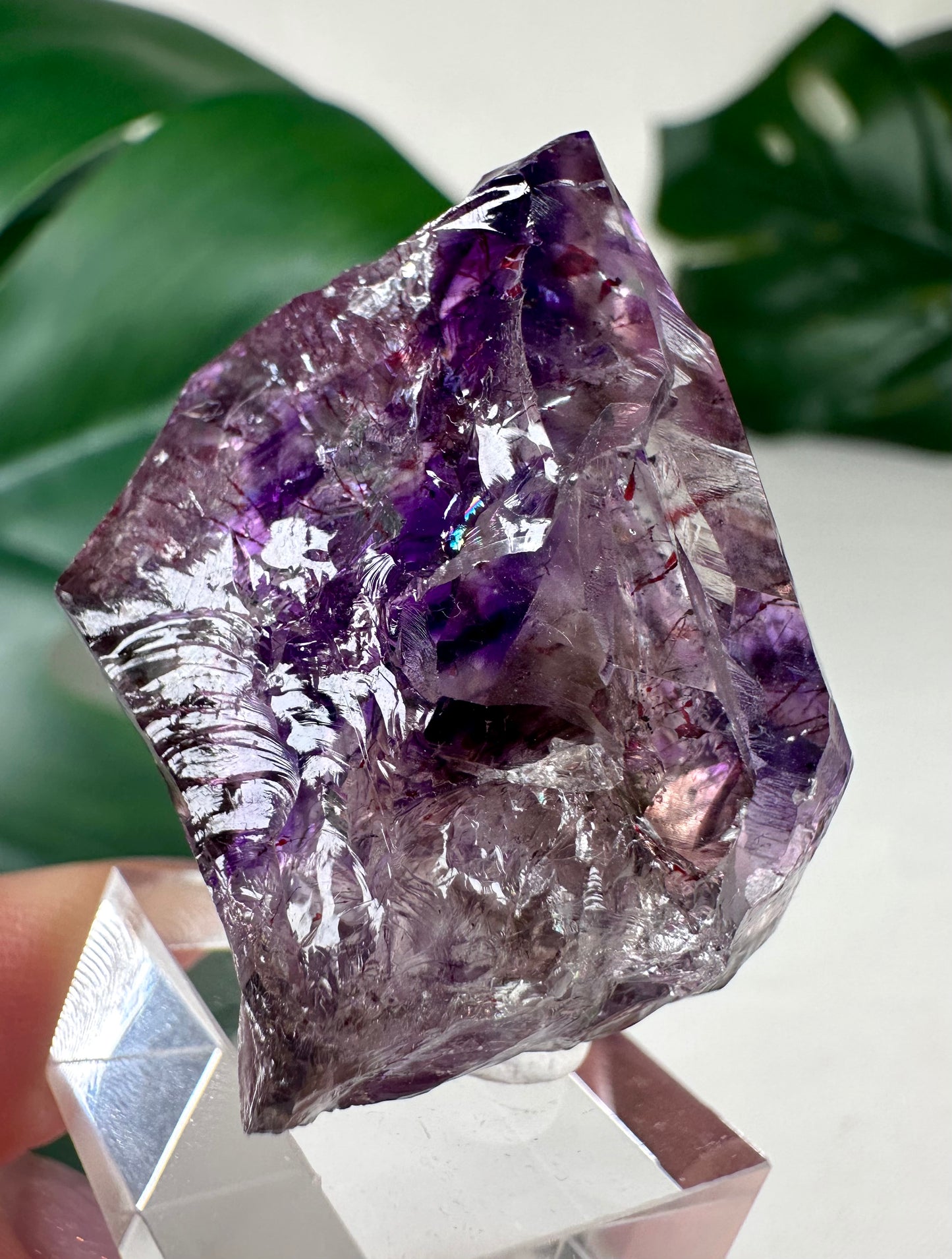 Shangaan Amethyst Nr.66SA