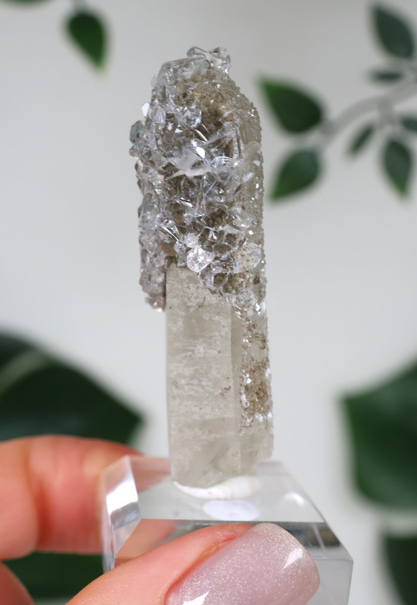 Apophyllit x Quarz x Chlorit Nr.77AP
