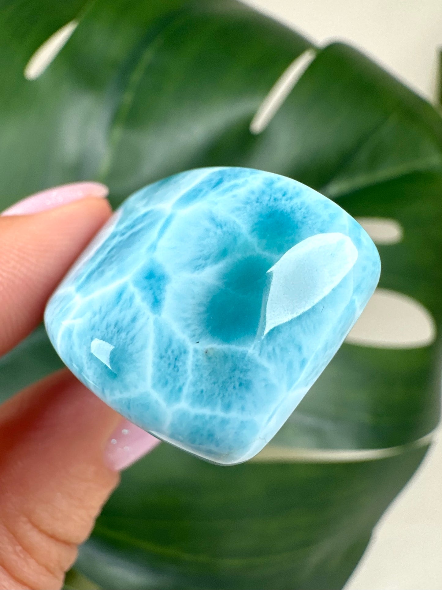 Larimar HQ Nr.243LA