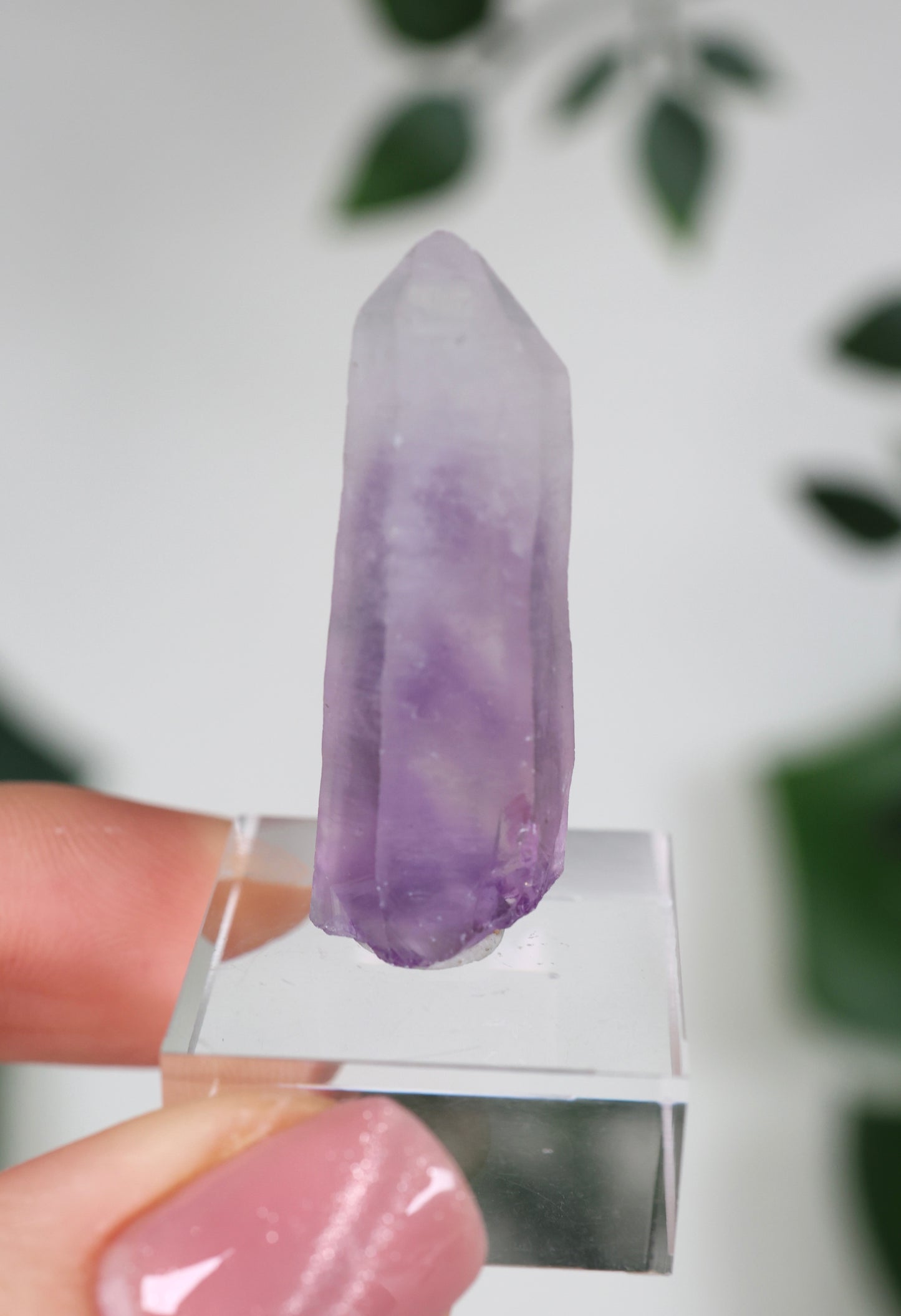 Guerrero Amethyst Oldstock XS - Auswahl