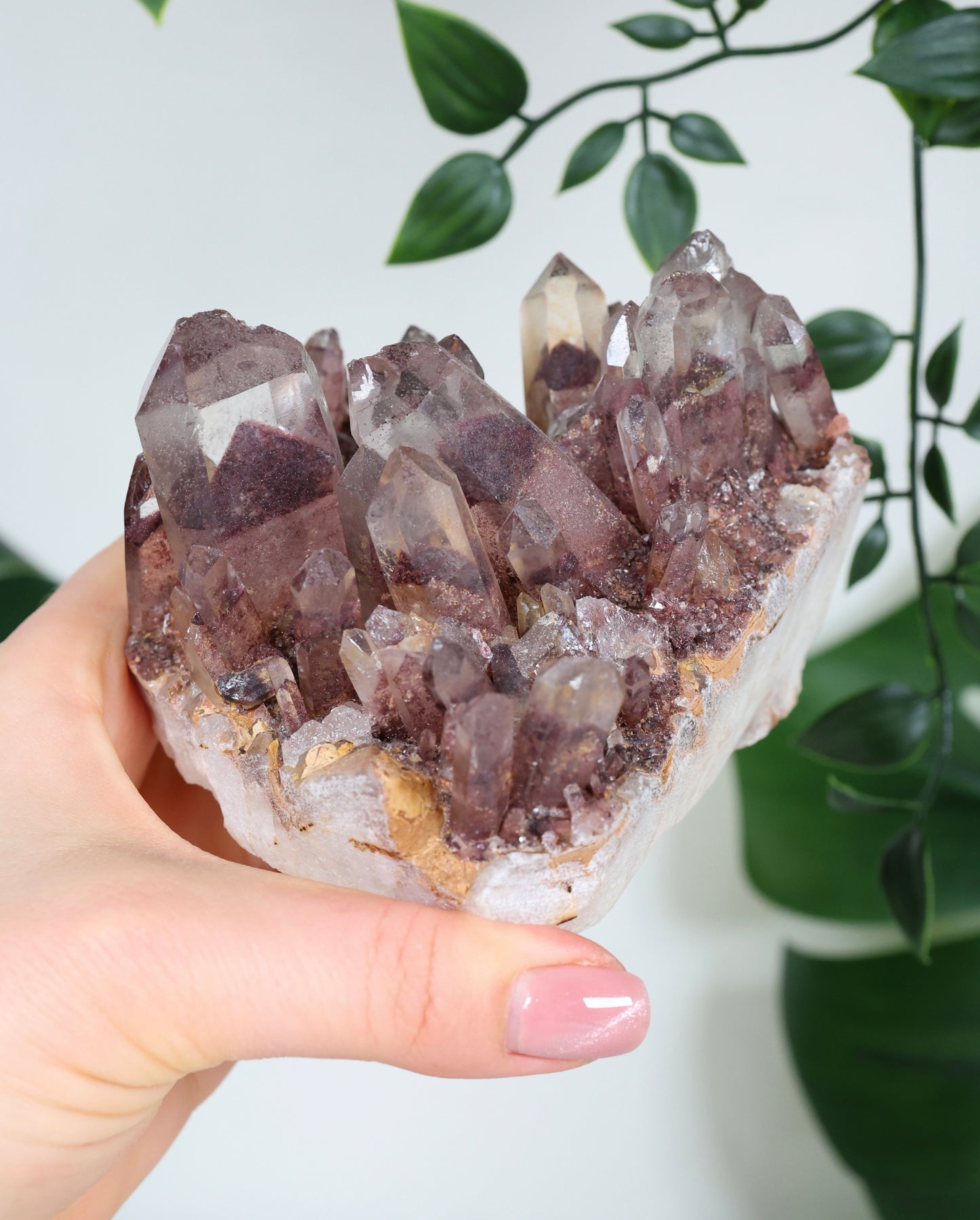 Sunset Quarz Nr.298SQ