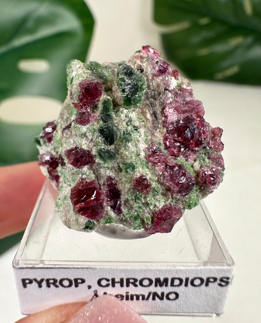 Pyrop Granat x Chromdiopsid Nr.76PC