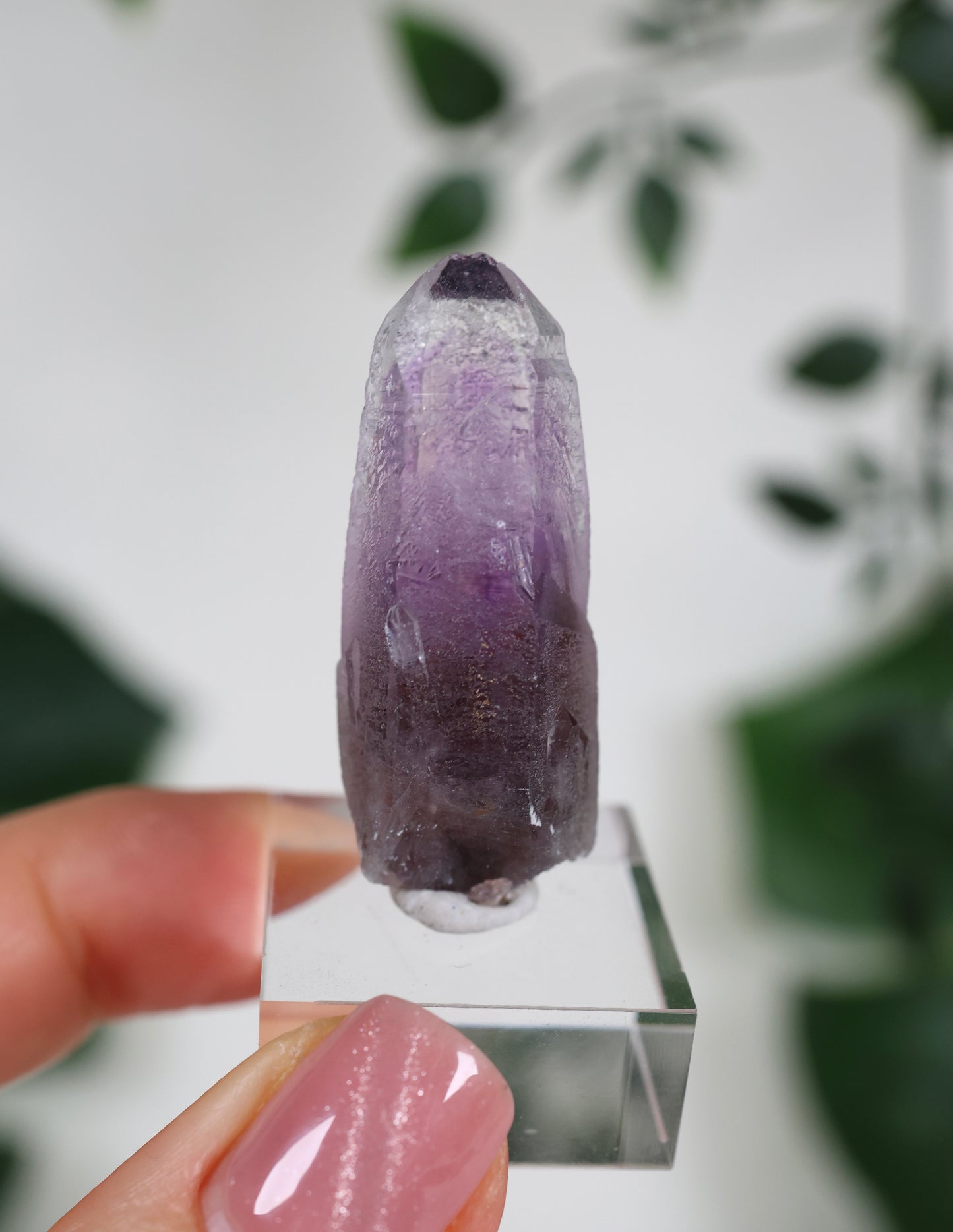 Guerrero Amethyst Oldstock XS - Auswahl