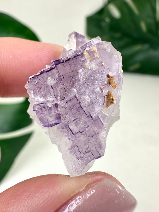 Tule Fluorit Nr.11TF