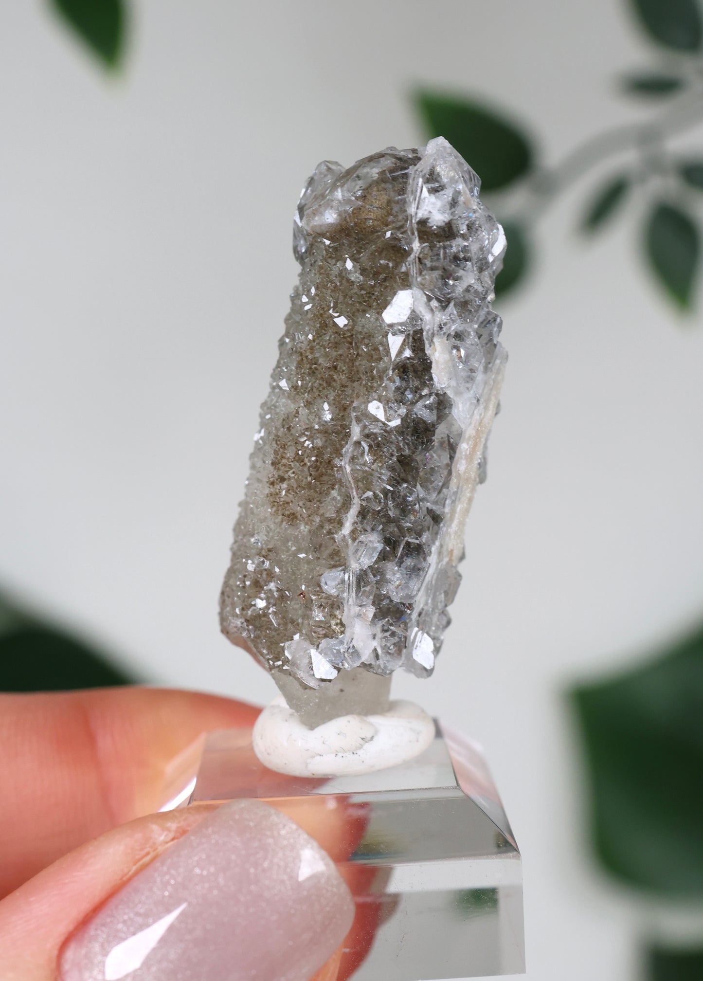 Apophyllit x Quarz x Chlorit Nr.57QA