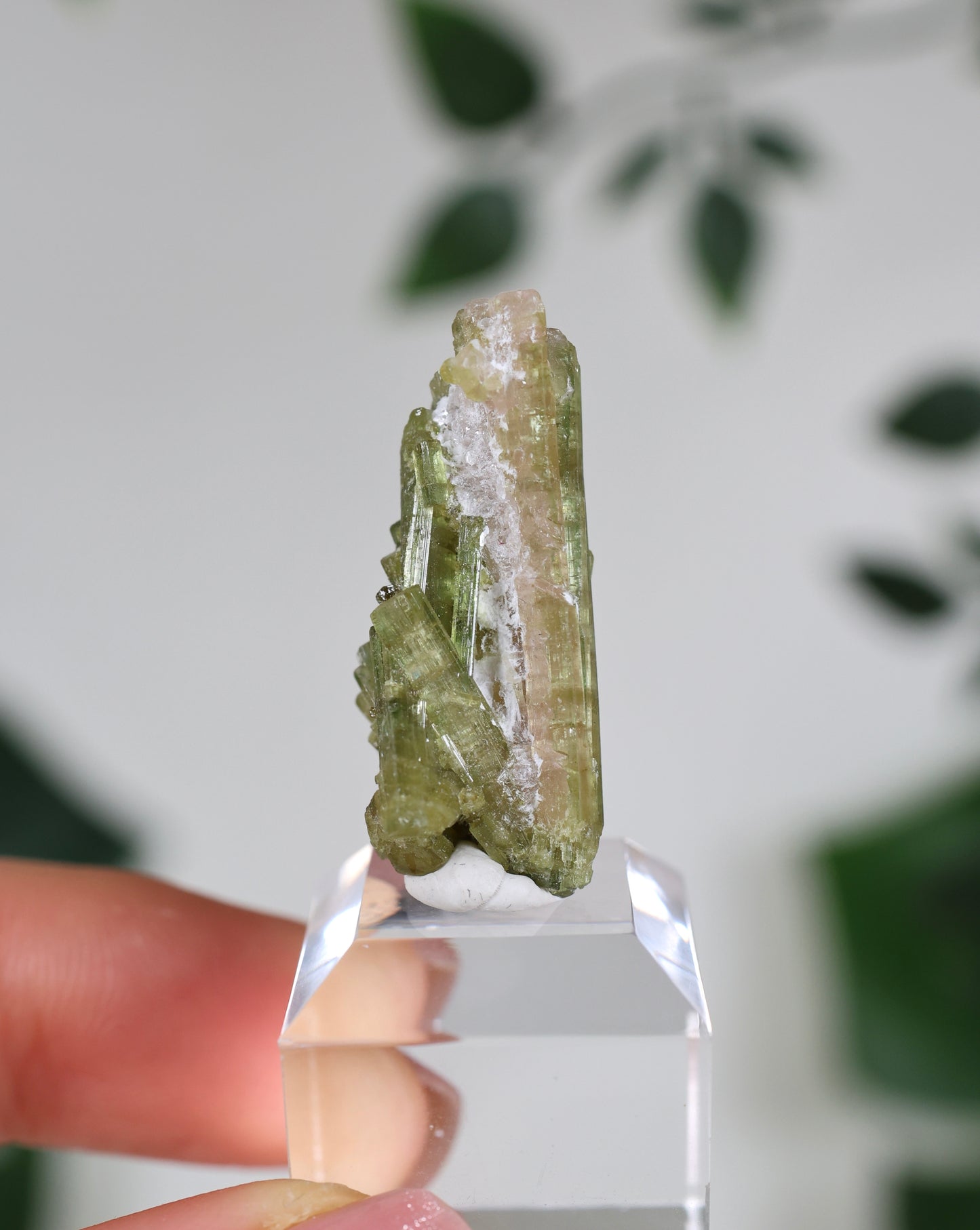 Grüner Turmalin XS - Auswahl