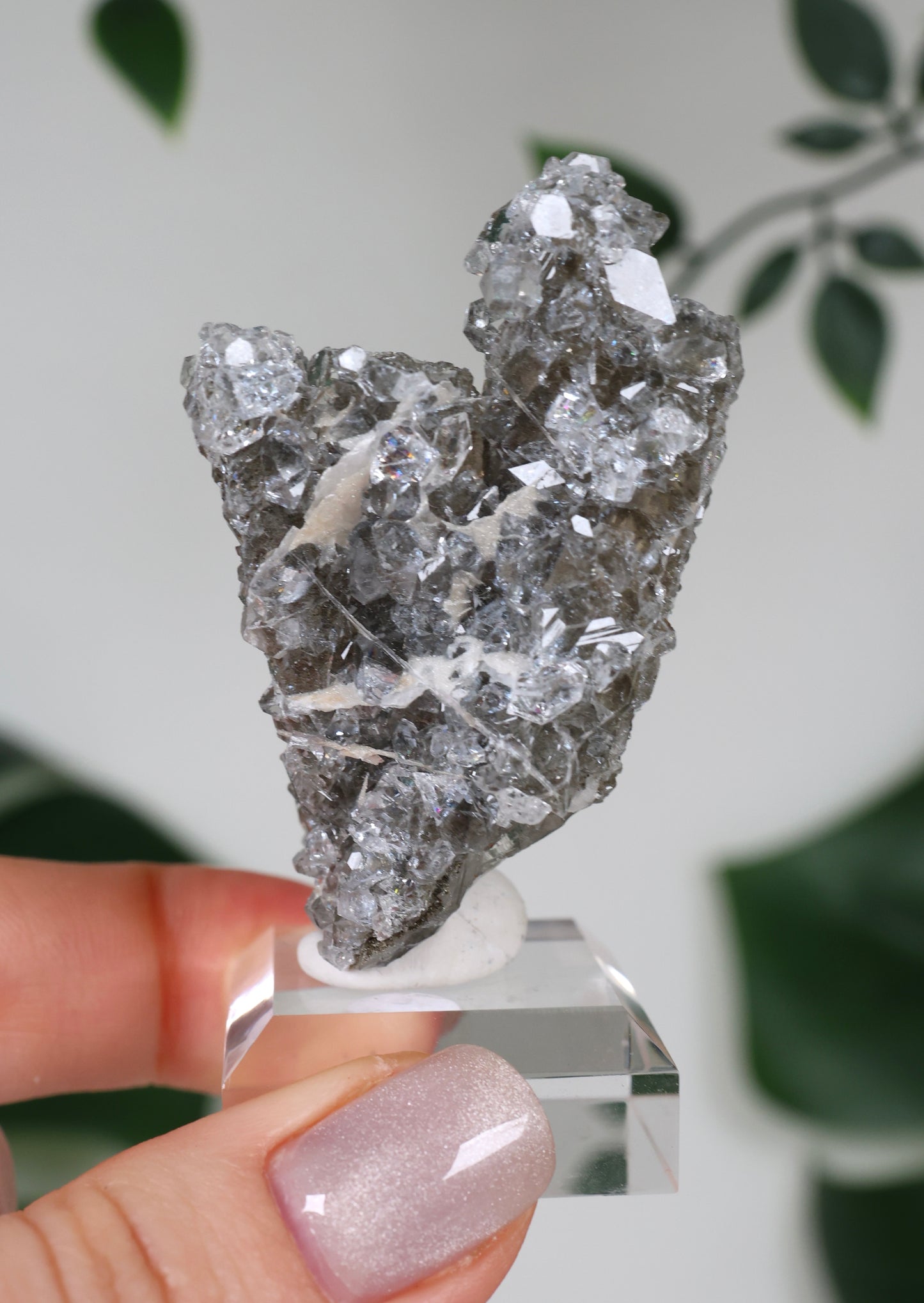Apophyllit x Quarz x Chlorit Nr.111Q1