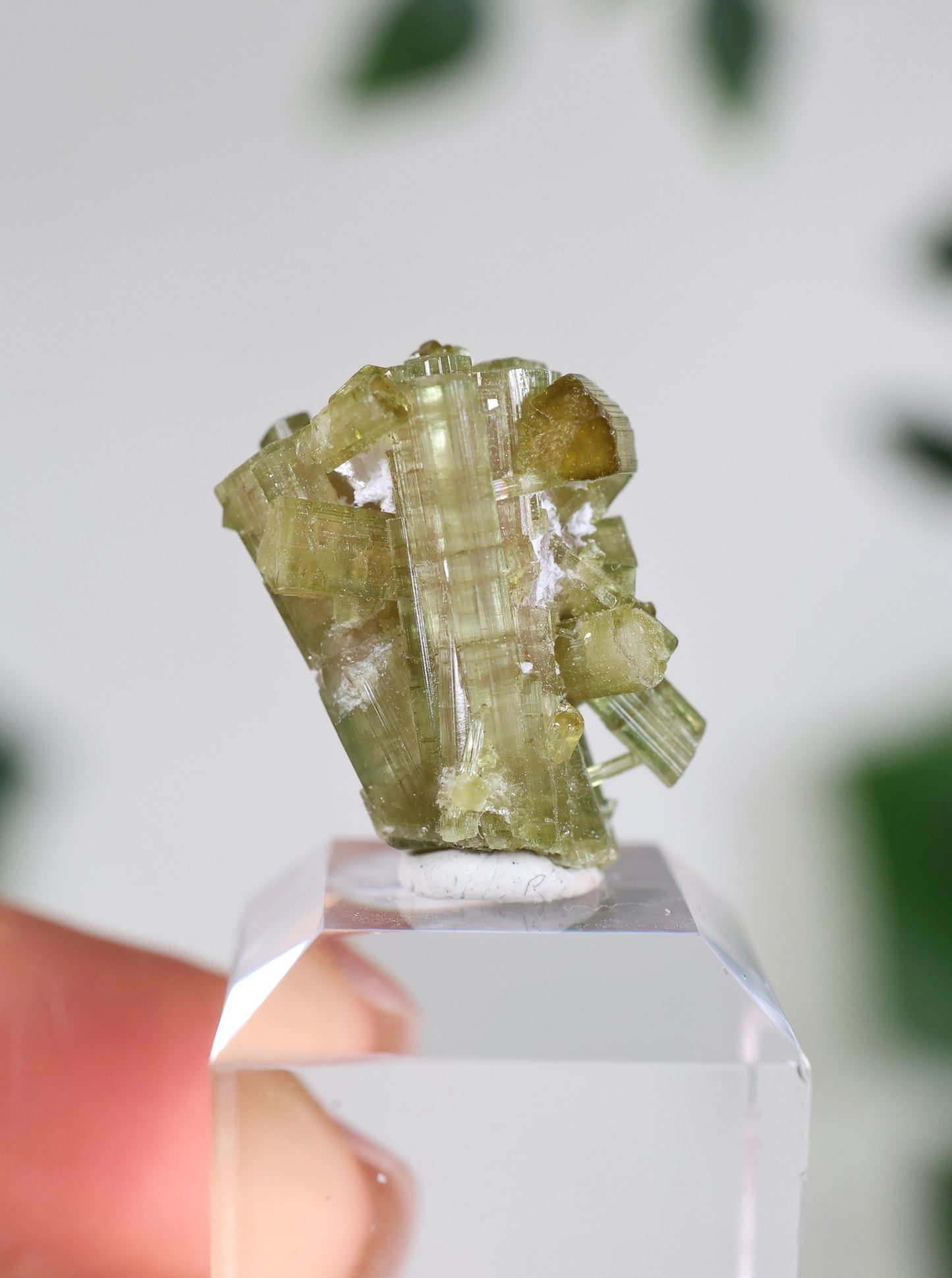 Grüner Turmalin Nr.33GT