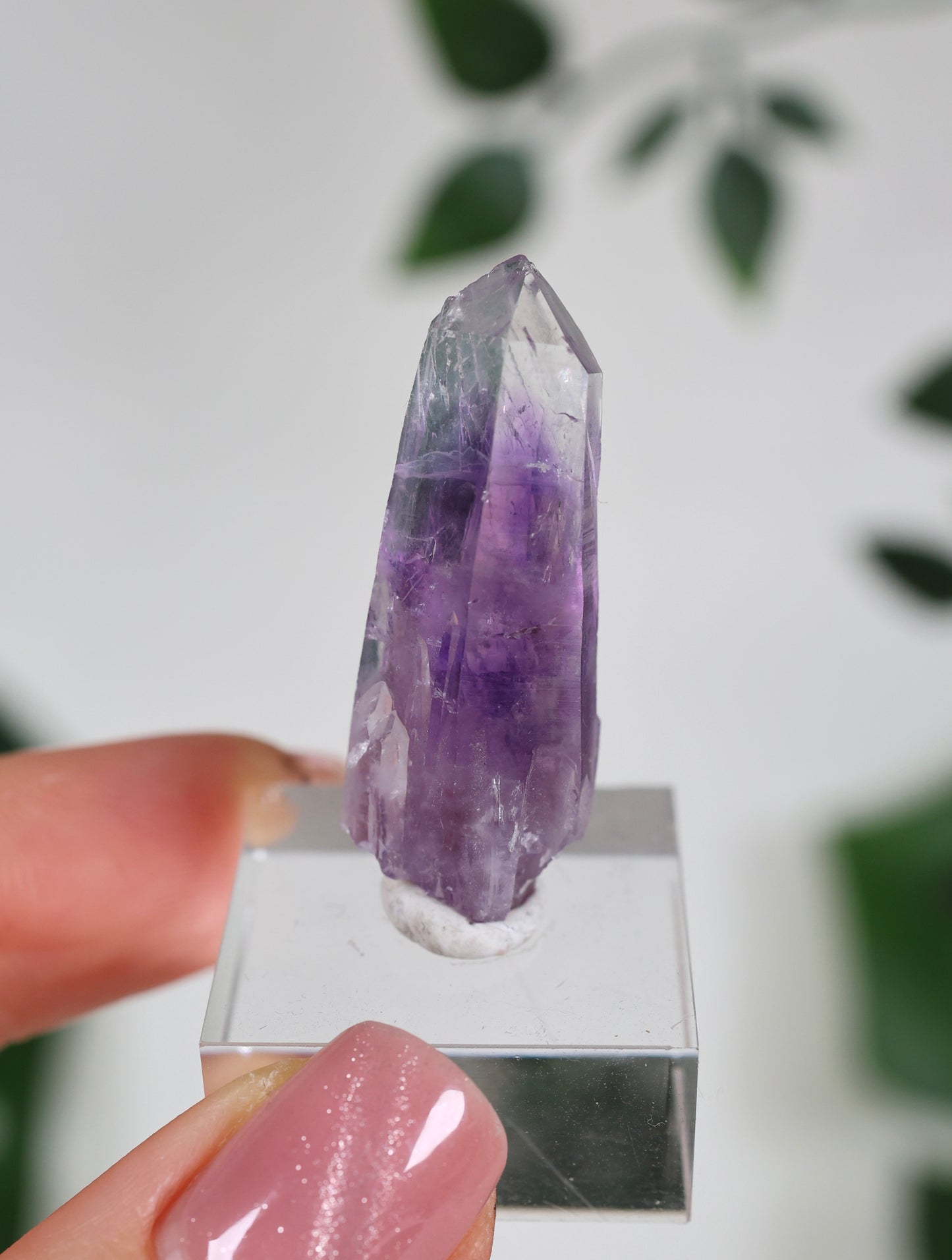Guerrero Amethyst Oldstock S- Auswahl