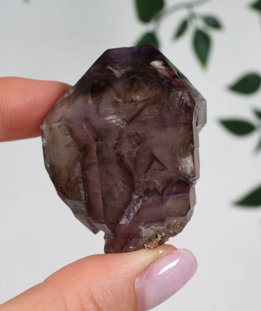 Shangaan Amethyst x Rauchquarz x Hämatit Nr.44SA