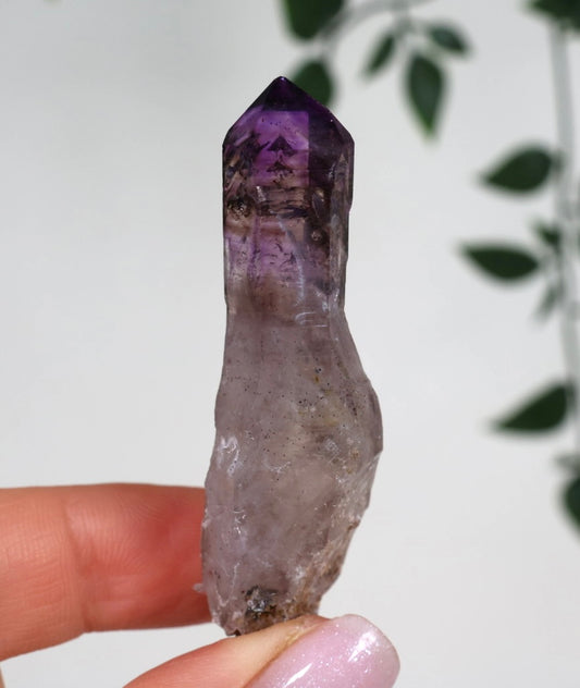 Shangaan Amethyst x Rauchquarz Zepter Nr.23SA