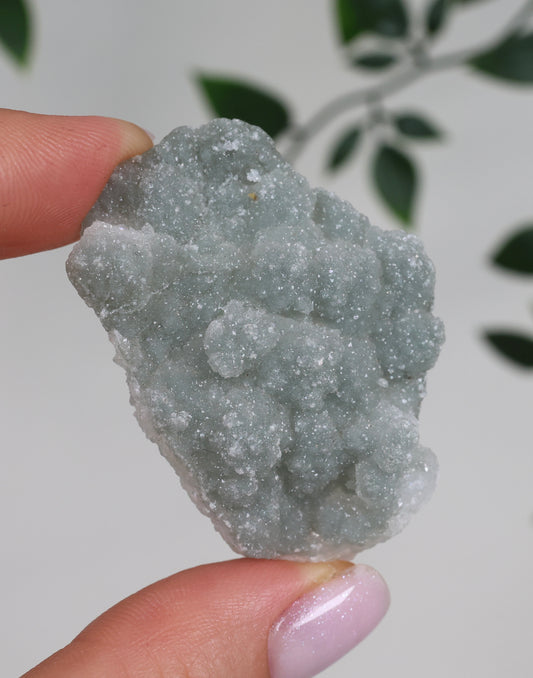 Grüner Apophyllit Crust Nr.23GA