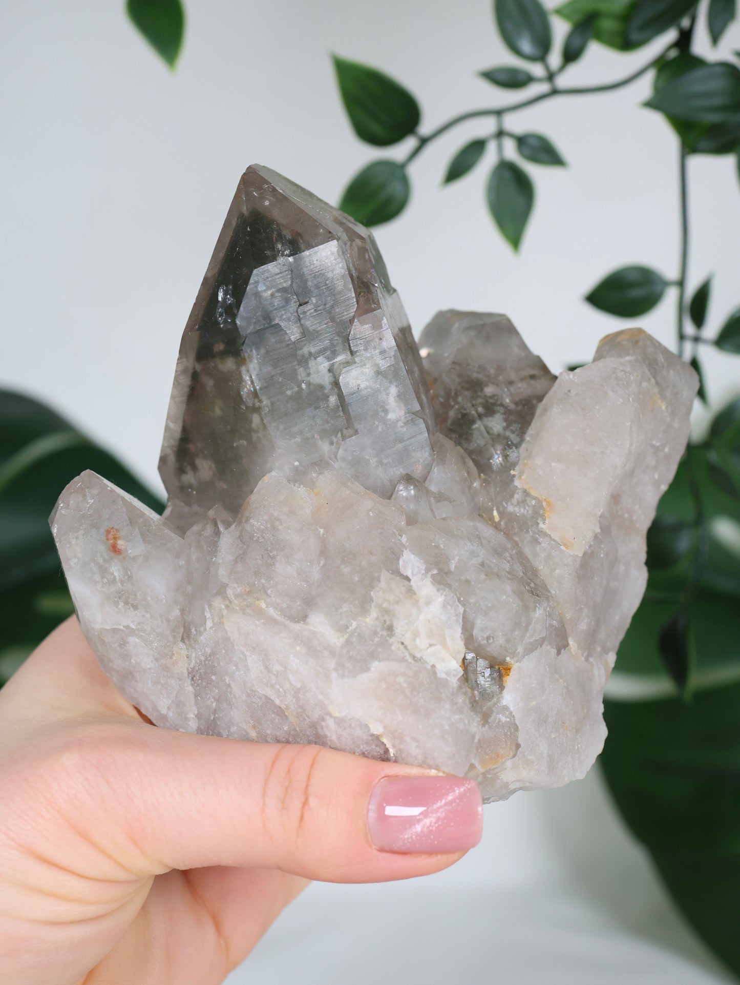 Gartenquarz x Rutil Cluster Nr.358GR