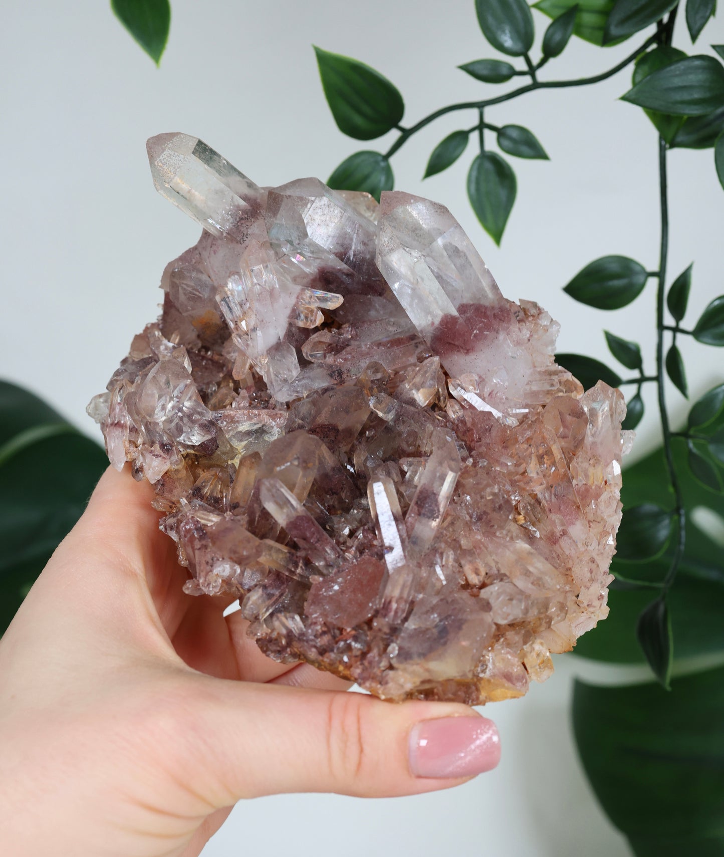 Sunset Quarz Nr.304SQ