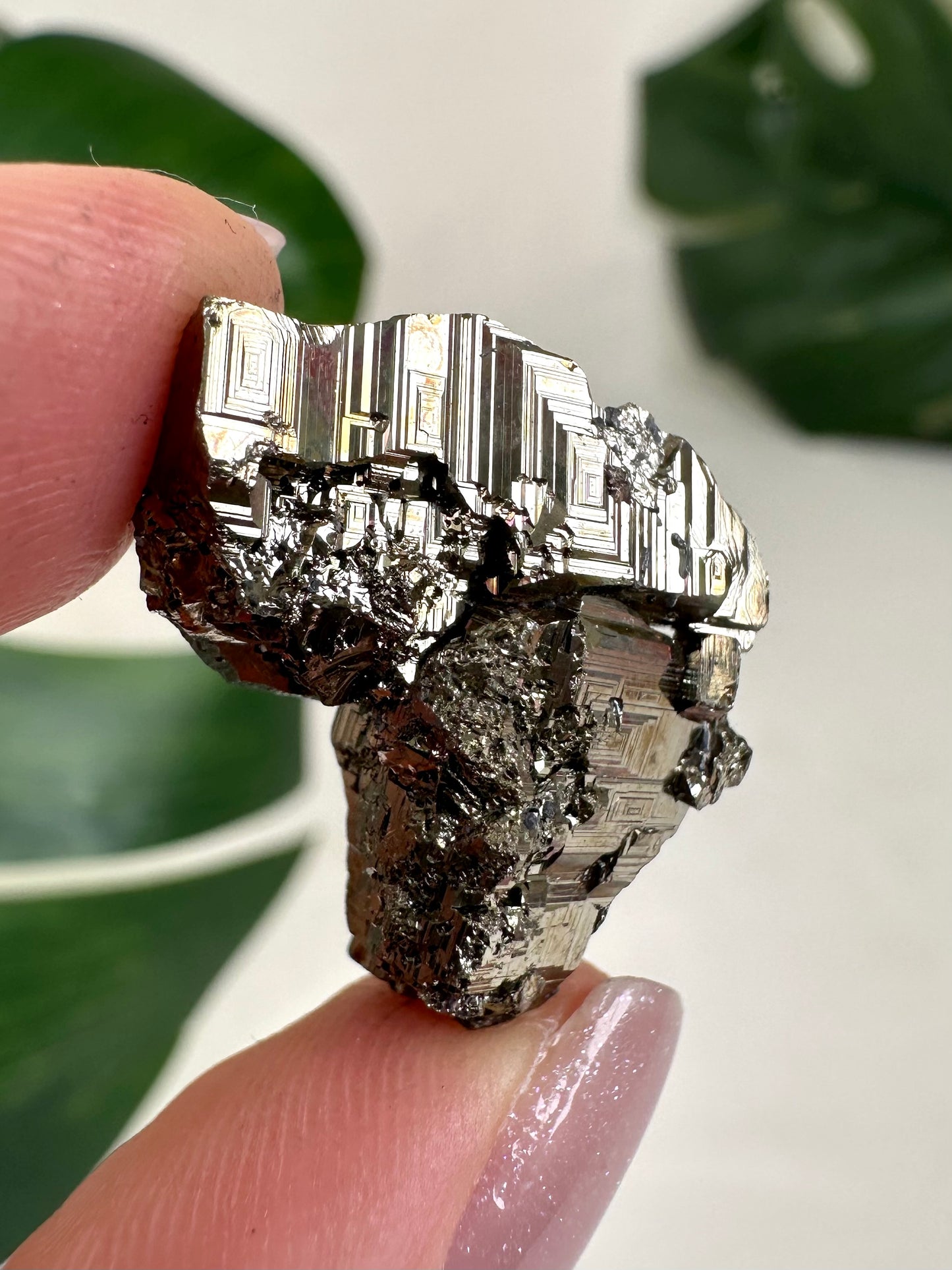 Iridescent Pyrite No. 12P3