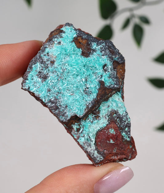 Aurichalcite Nr.27AU