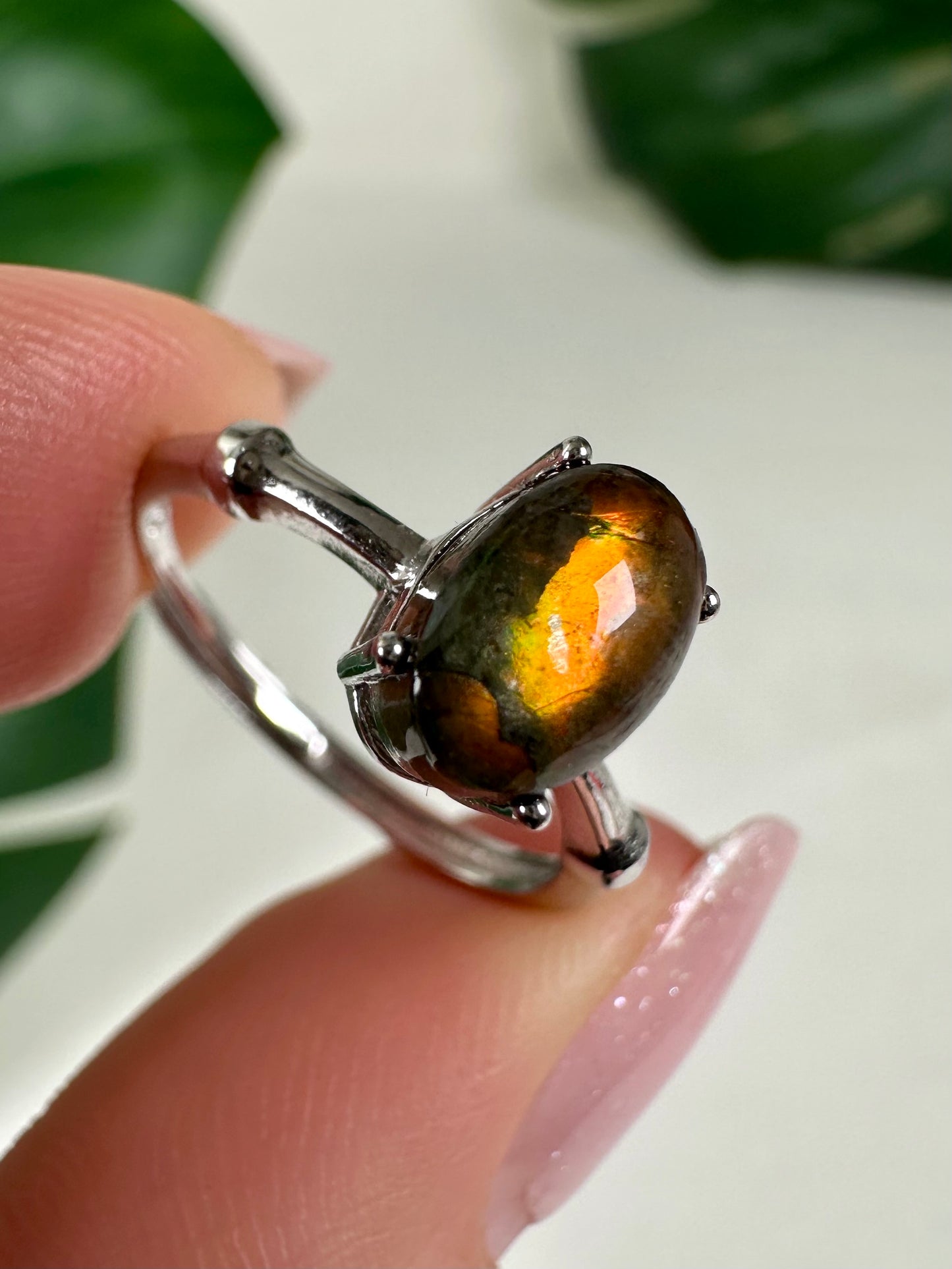 Ammolit Ring in 925 Silber Nr.49A5