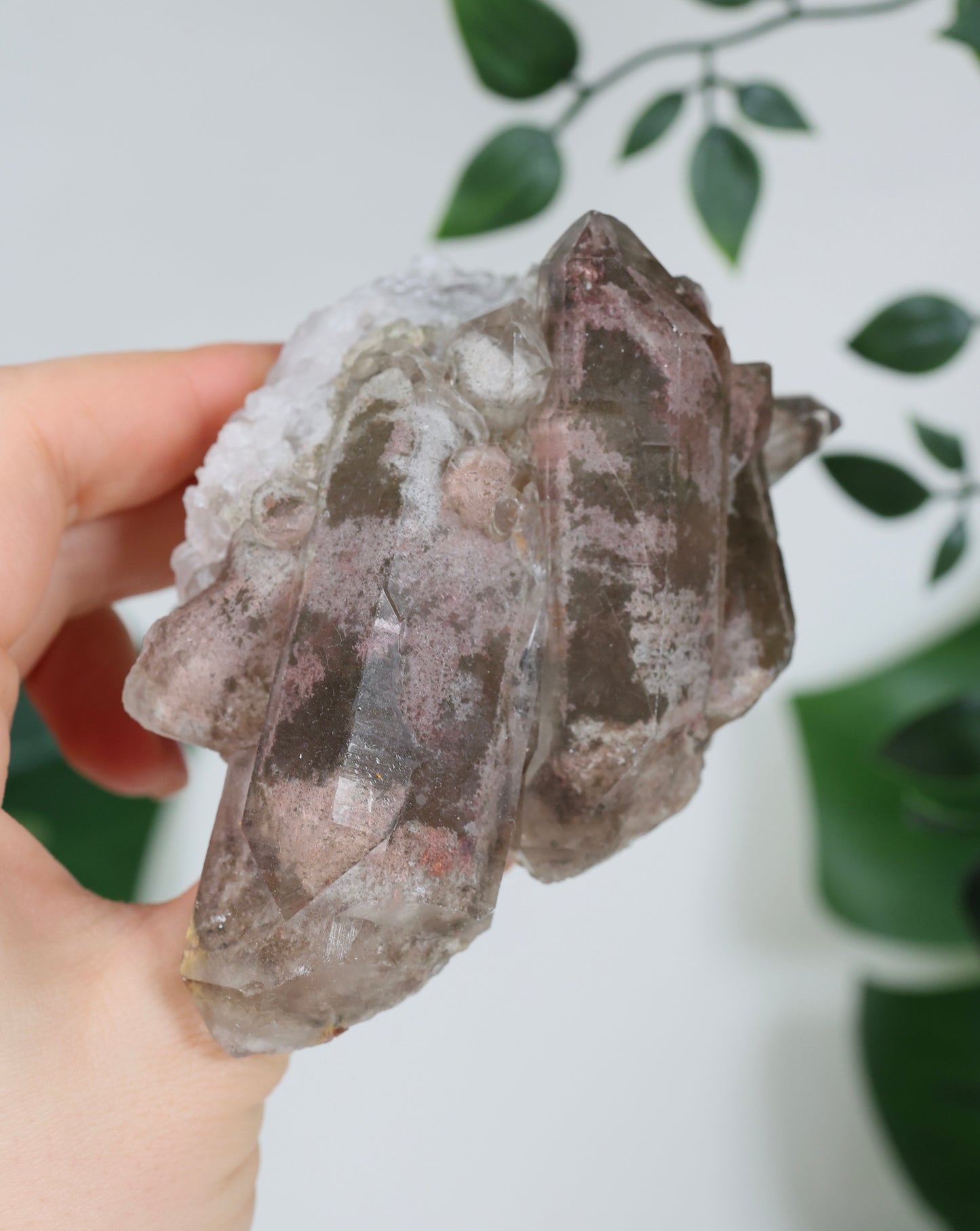 Gartenquarz x Rutil Cluster Nr.178GR