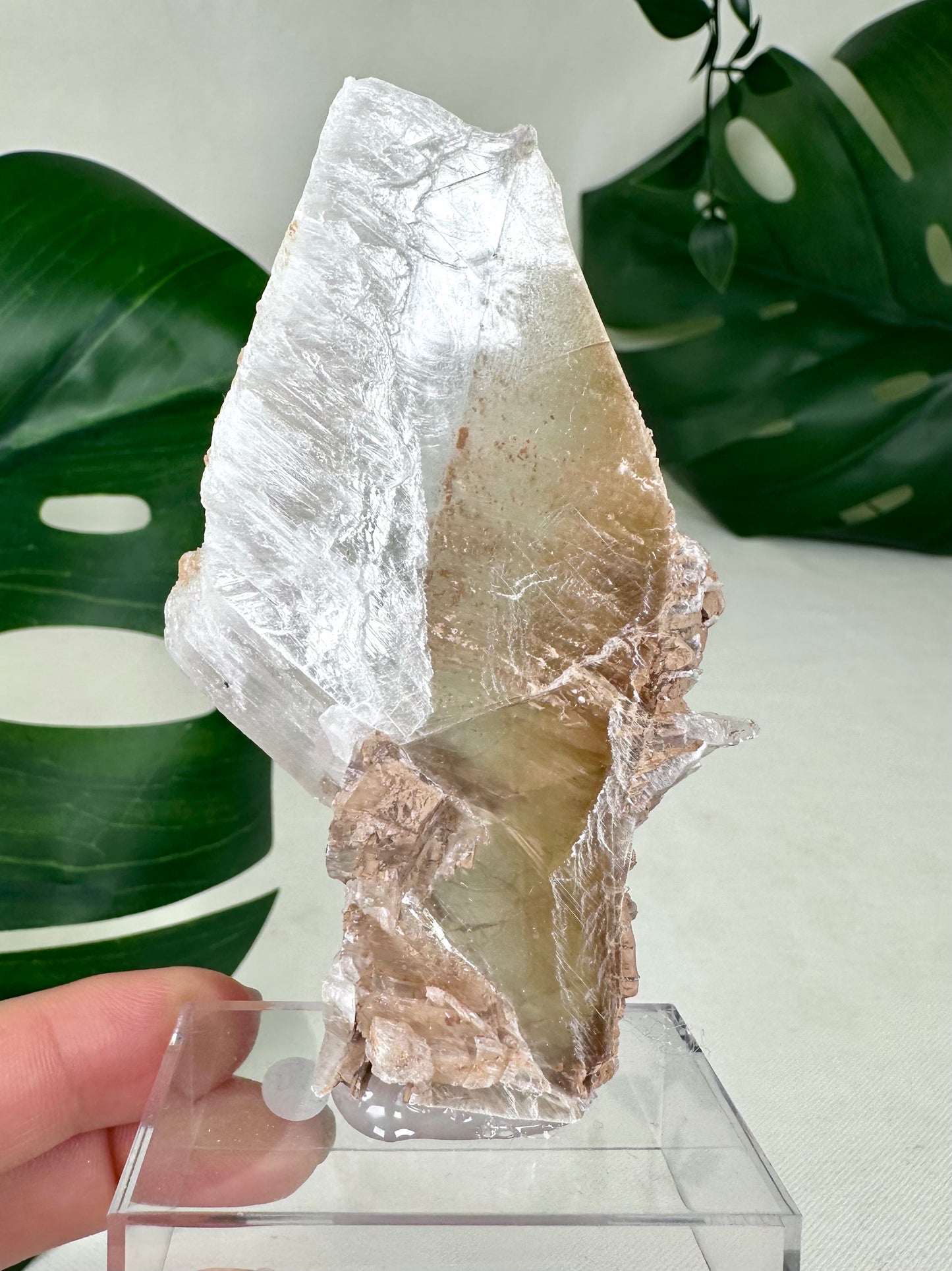 Bicolor Selenite No. 58BS