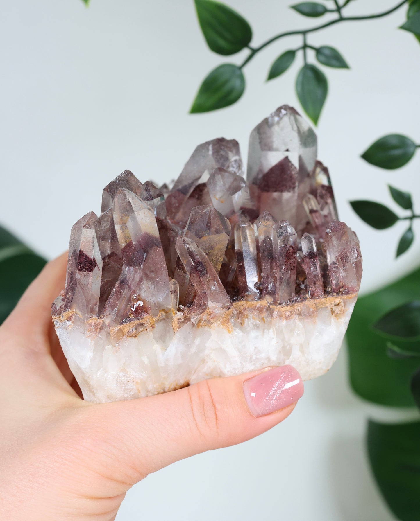 Sunset Quarz Nr.298SQ