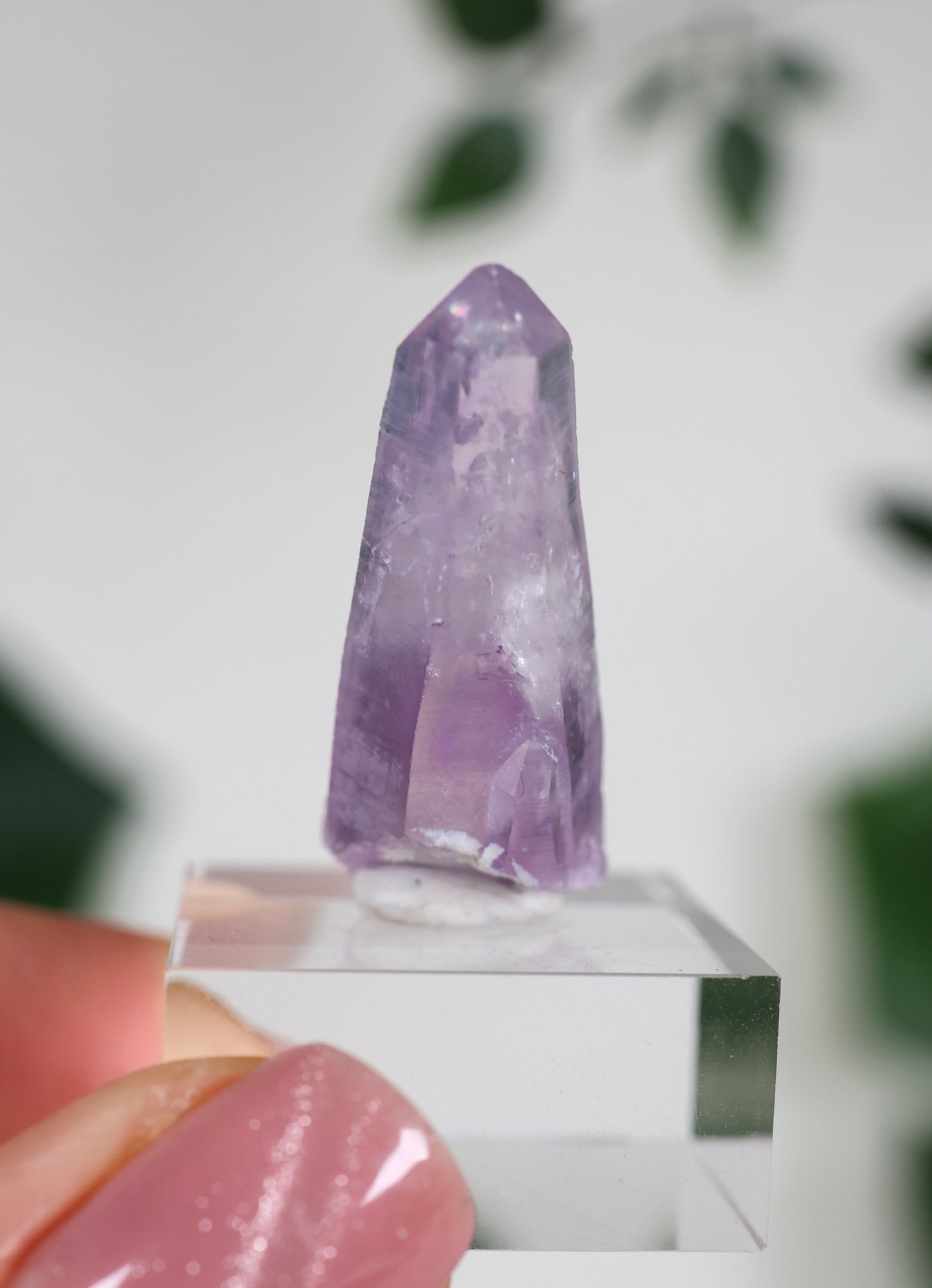 Guerrero Amethyst Oldstock XS - Auswahl