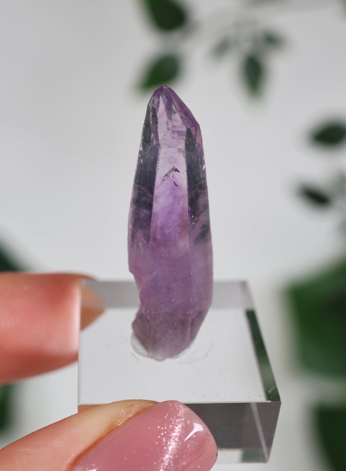 Guerrero Amethyst Oldstock XS - Auswahl
